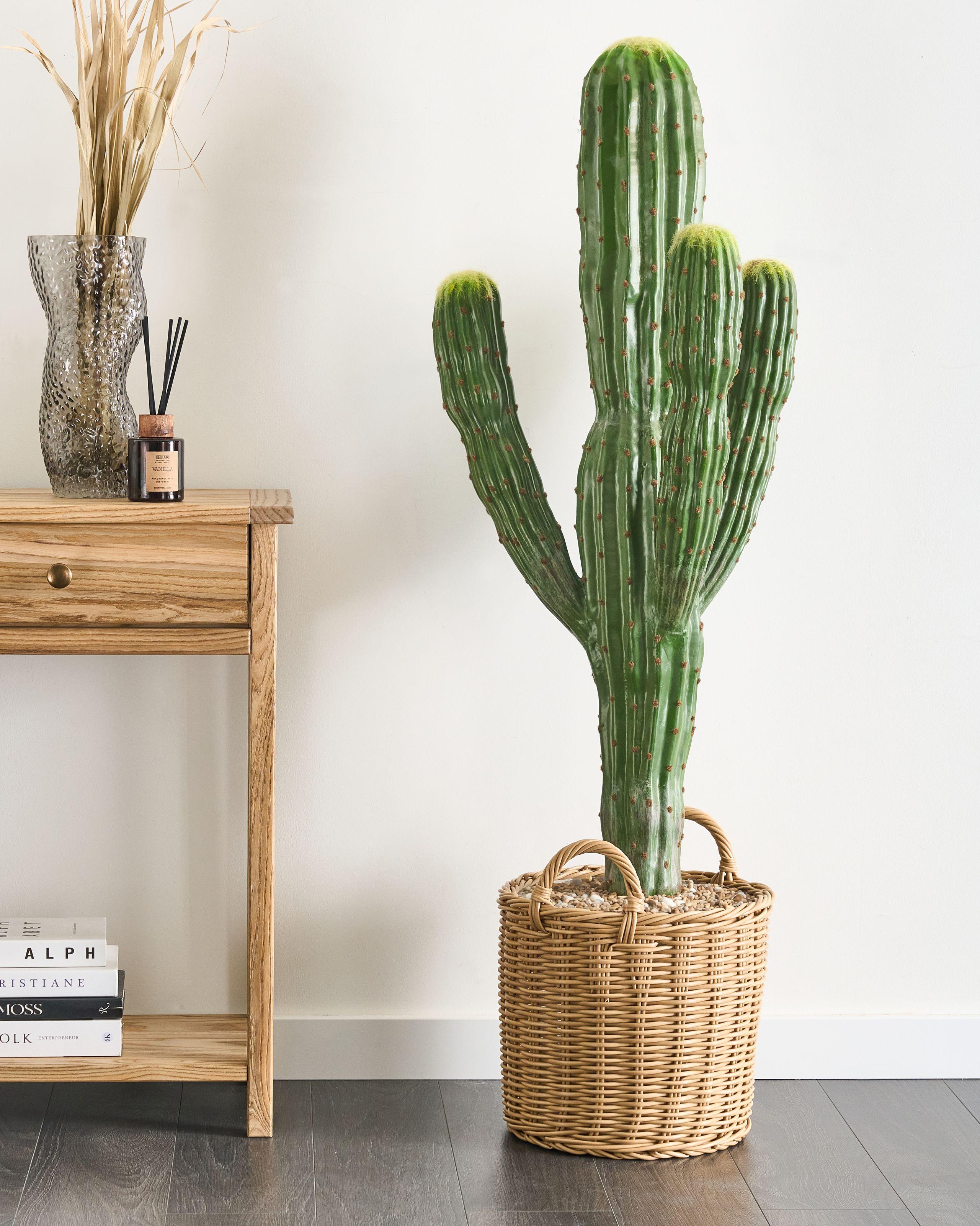 Beliani Kunstpflanze aus Kunststoff MAROCCO CEREUS