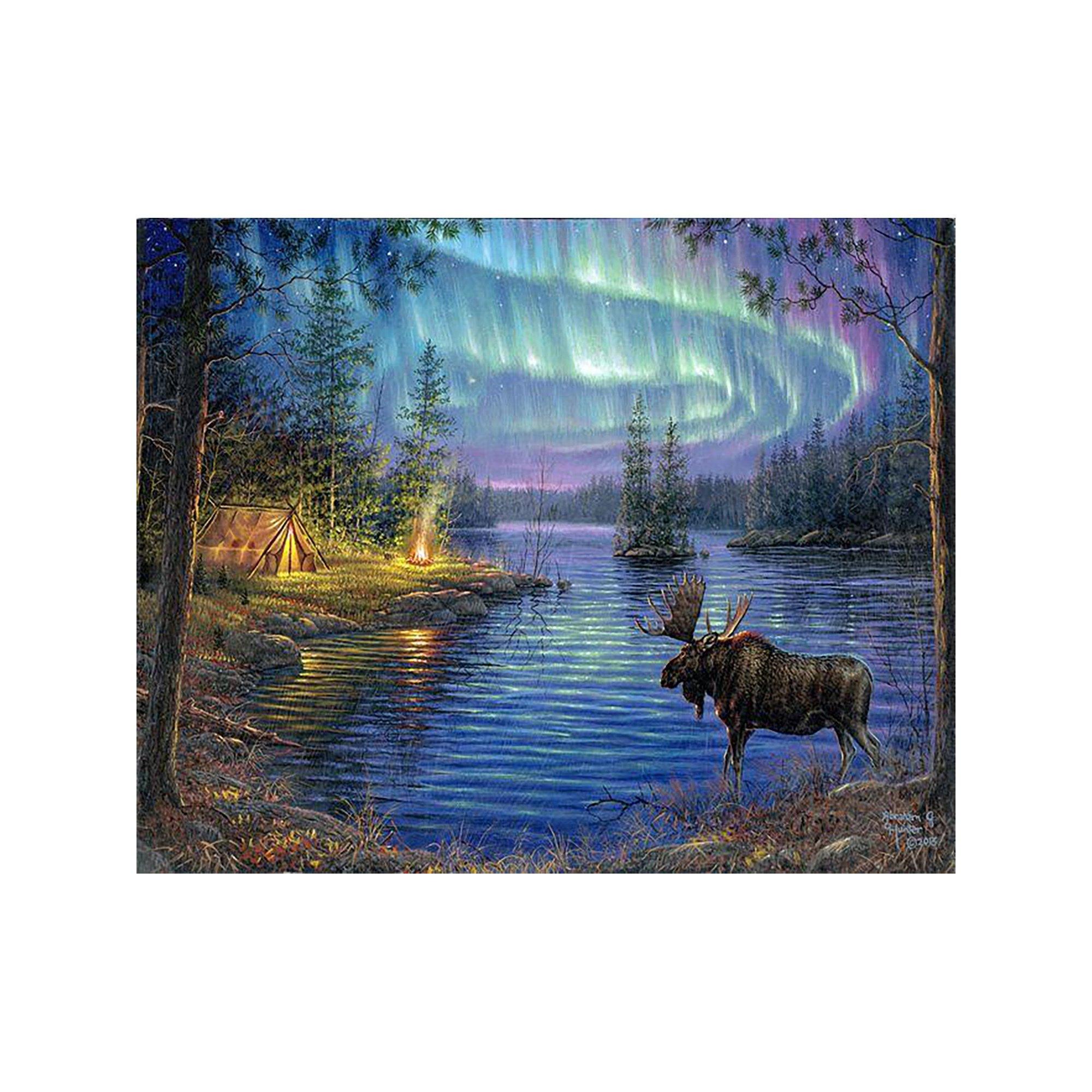 Figured'Art Malen nach Zahlen Elch und Nordlicht