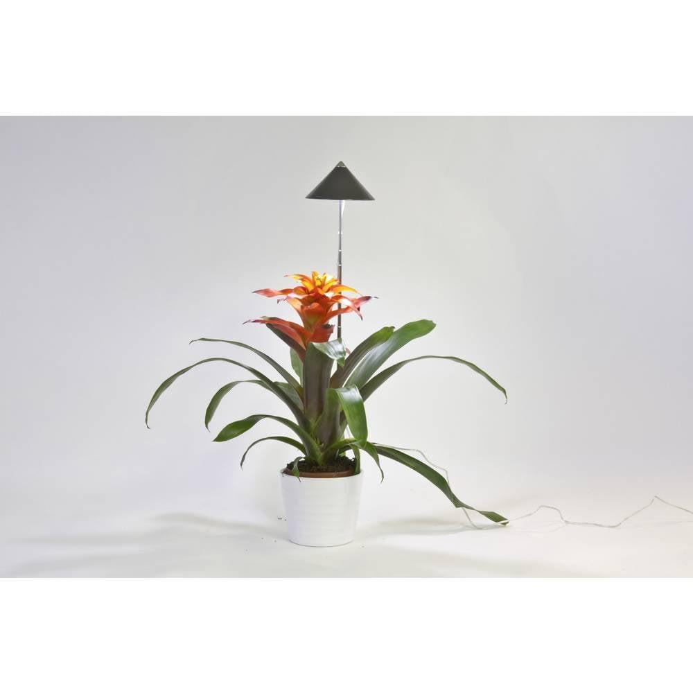 Venso LED-Pflanzenlampe SUNLiTE