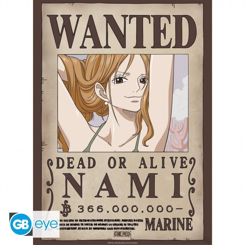 GB Eye Poster - Packung mit 2 - One Piece - Nami & Robin