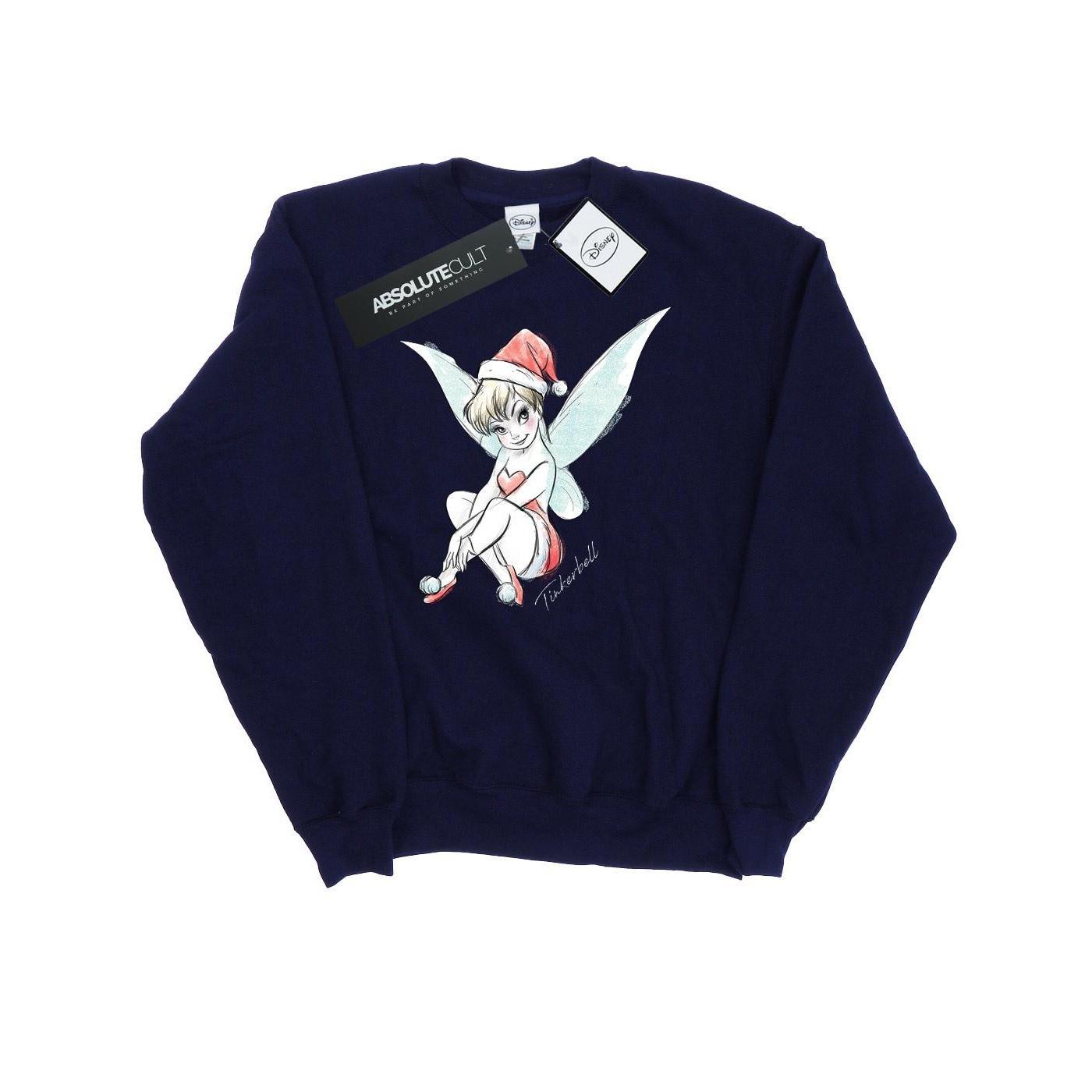 Disney Fairy Sweatshirt