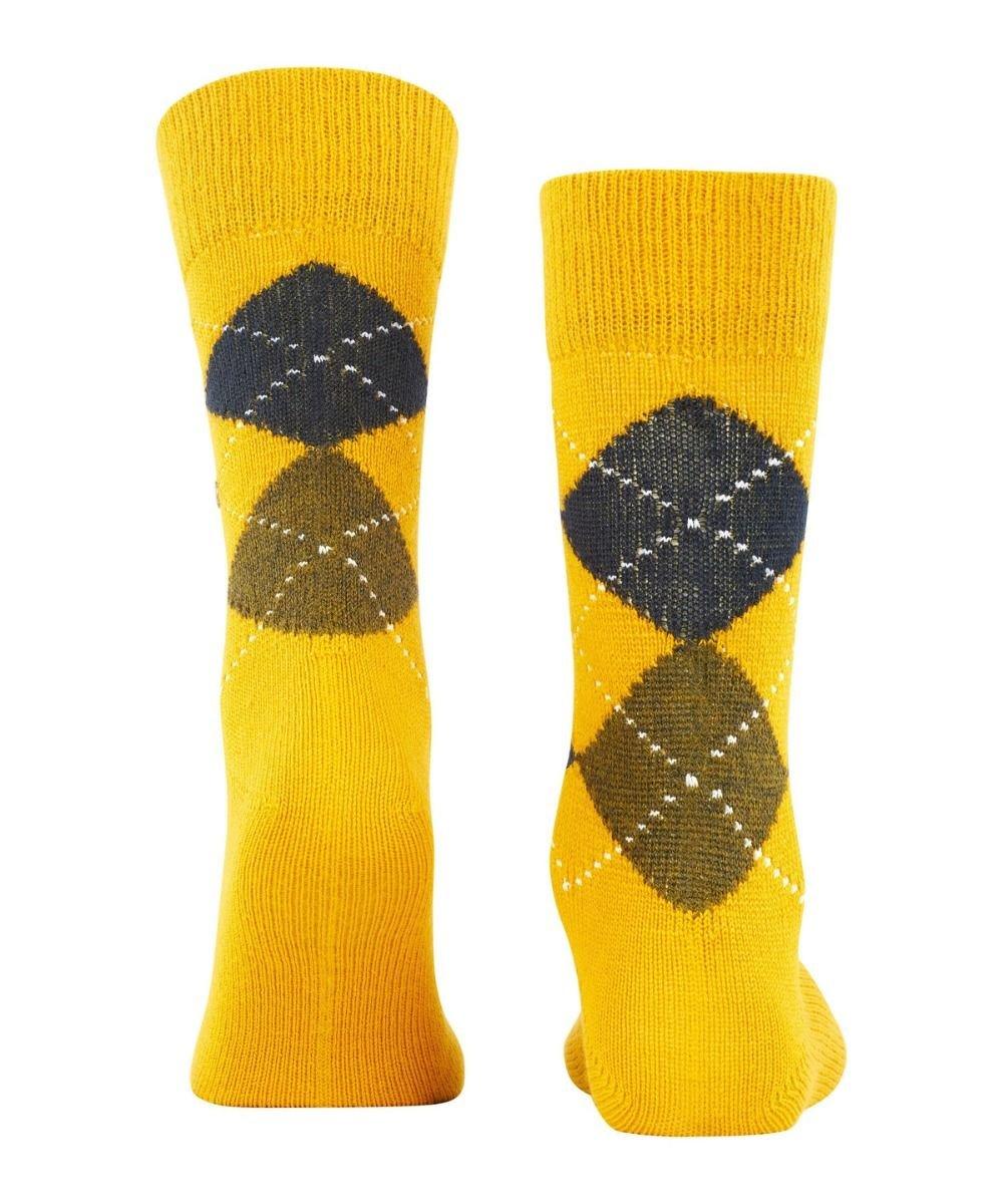 Burlington PRESTON SO-40-46