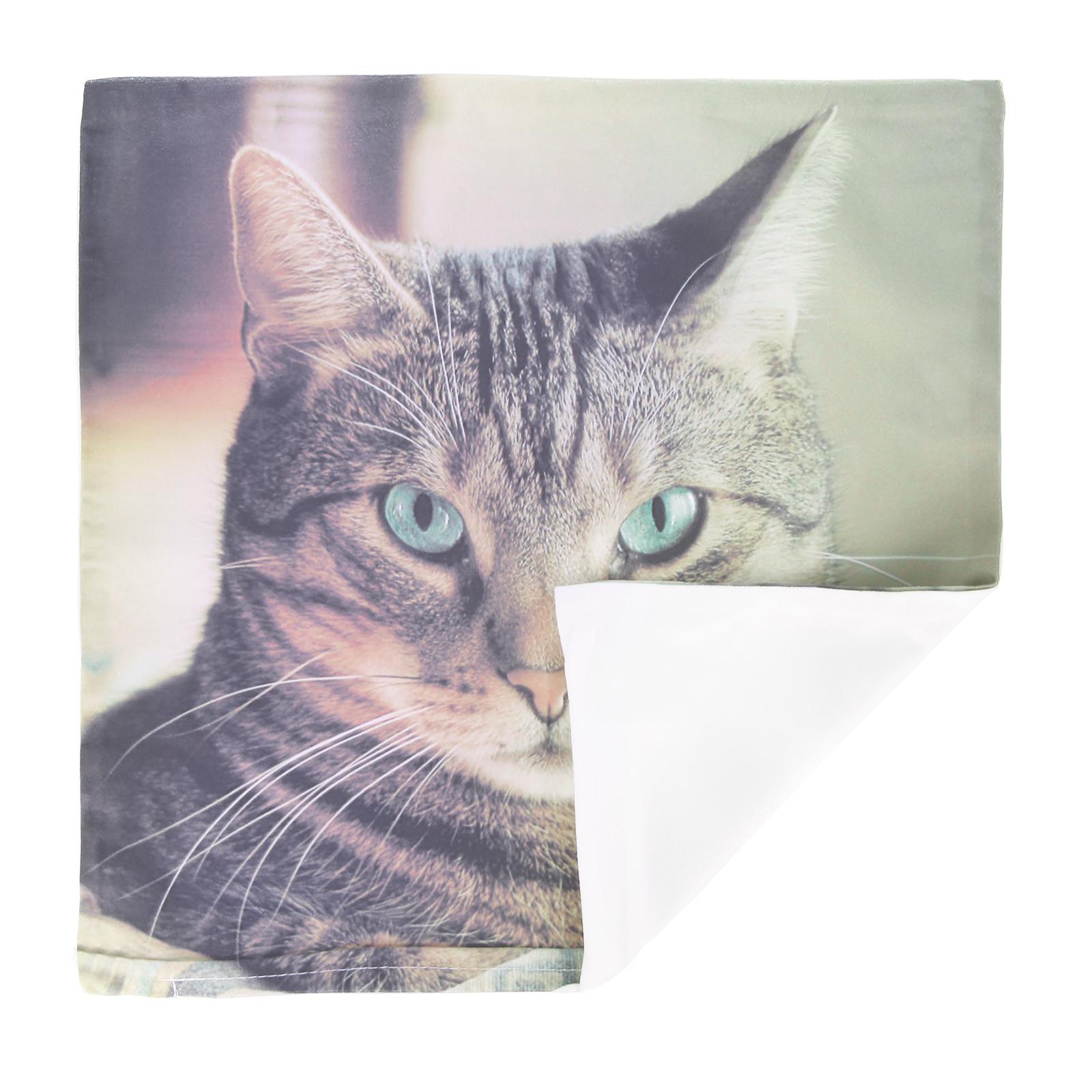 Avizar 2 Stk. Kissenbezüge Britisch Shorthair