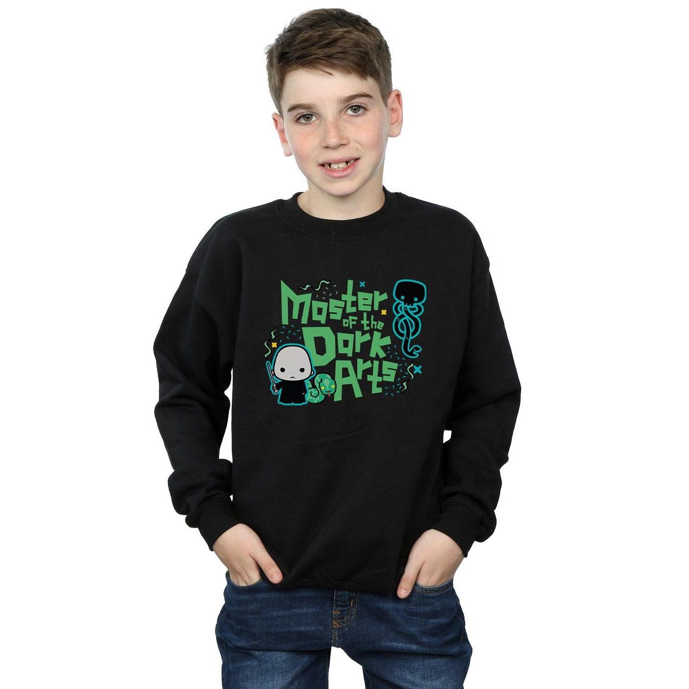 Harry Potter Voldemort Dark Arts Junior Sweatshirt