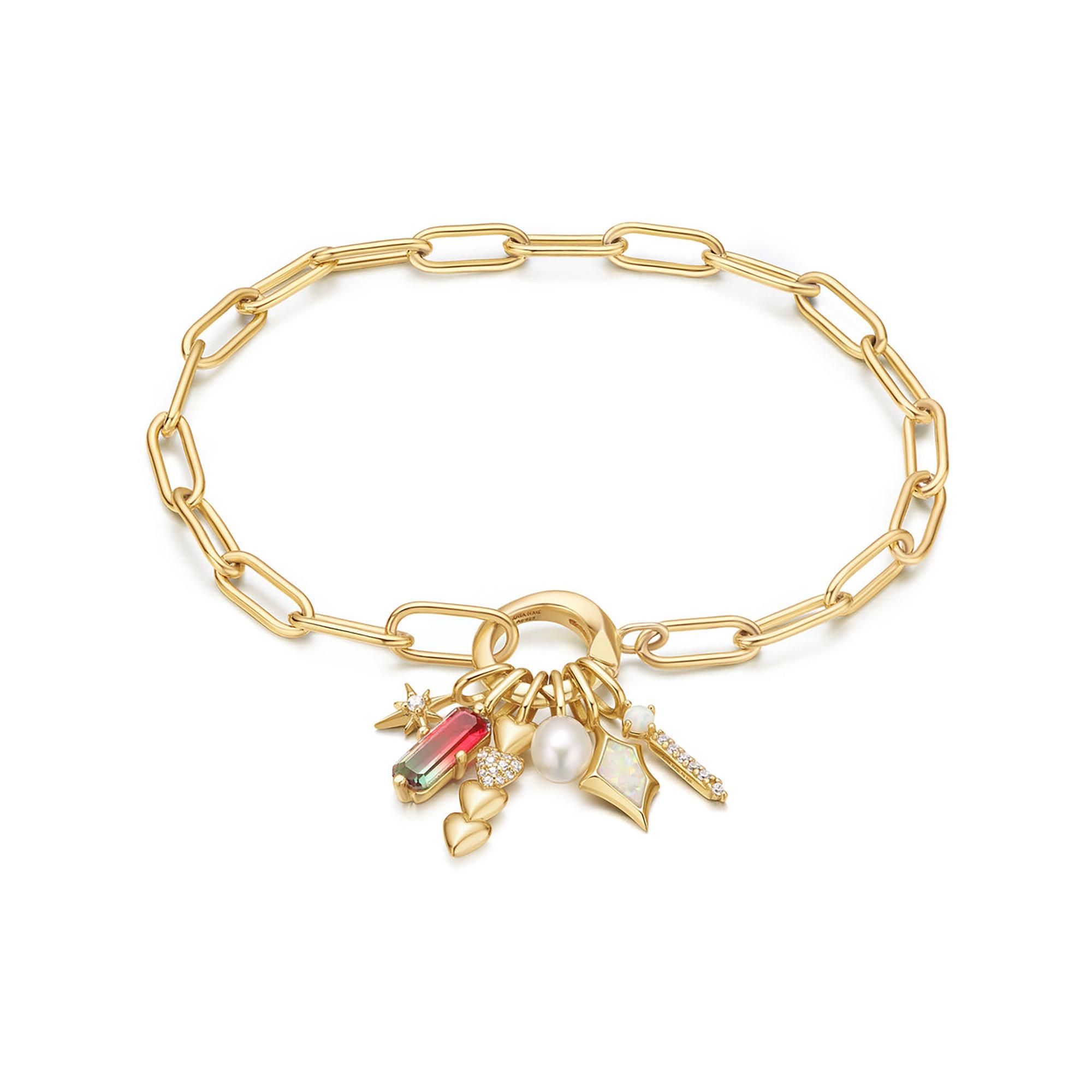 ANIA HAIE Charm