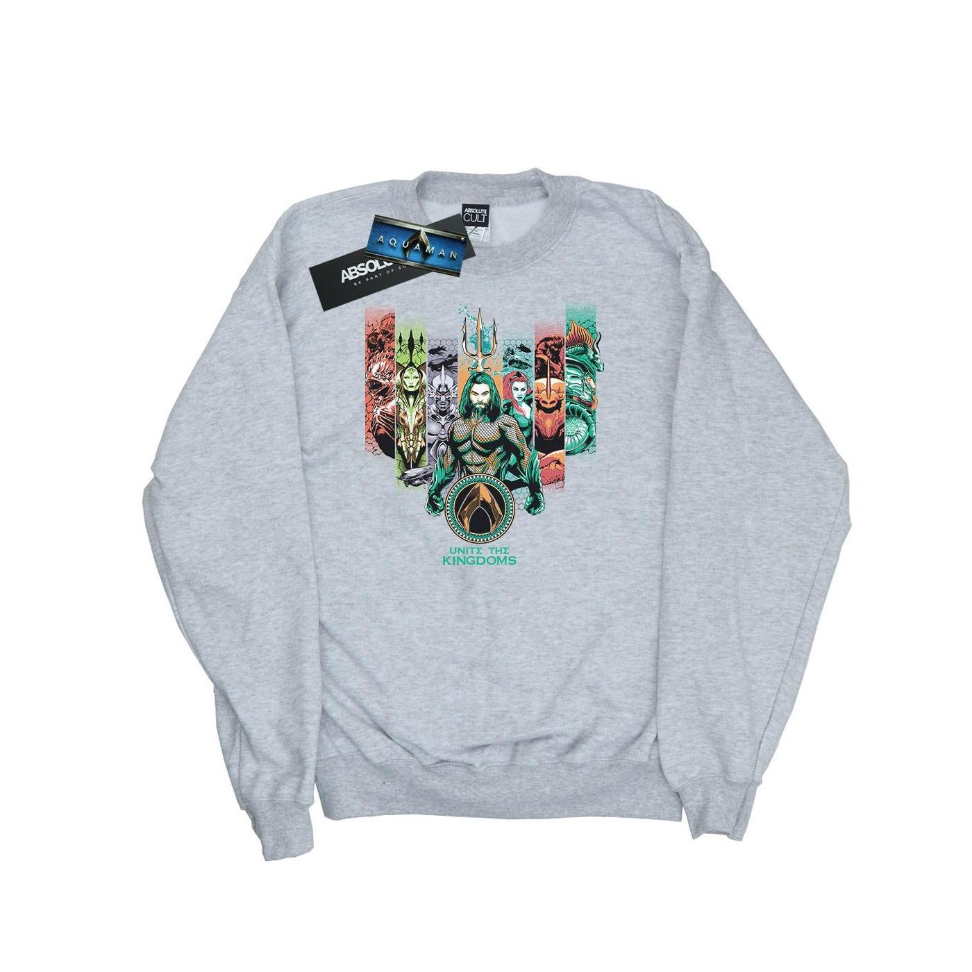 DC COMICS Unite The Kingdoms Sweatshirt