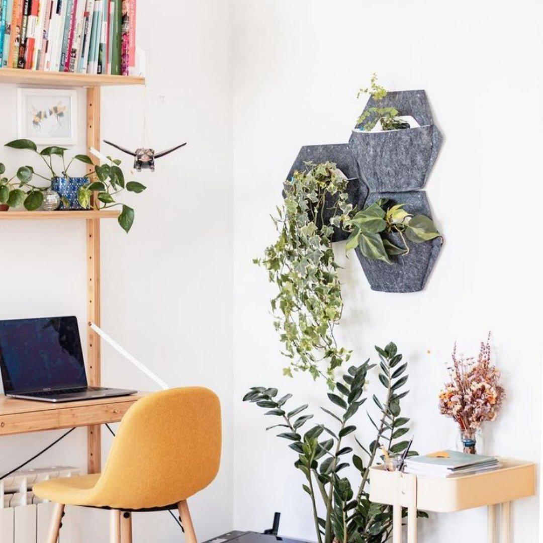 CitySens 3er-Pack Selbstbewässernder Wand-Pflanzengefäss mit Textilbezug