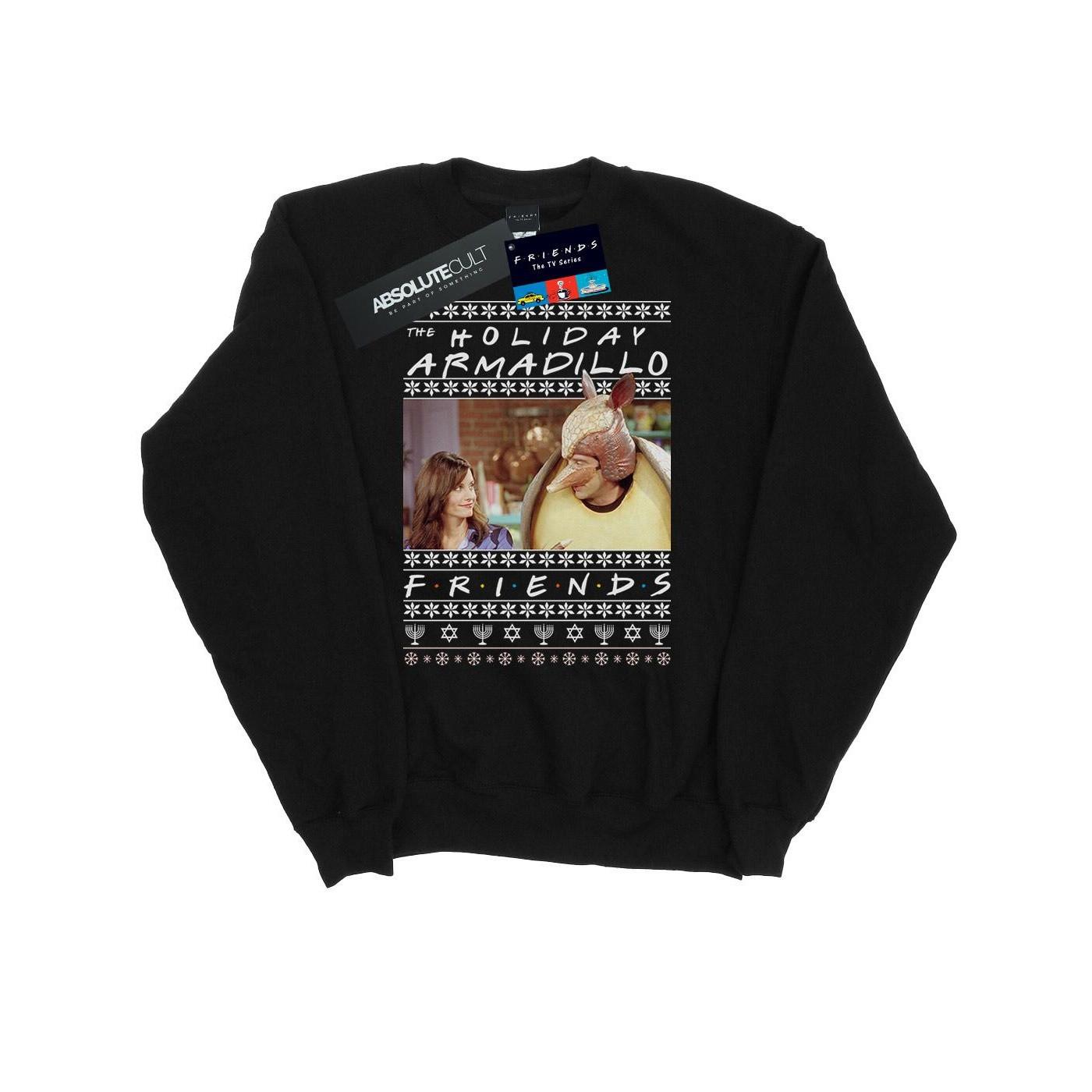 Friends Holiday Armadillo Sweatshirt