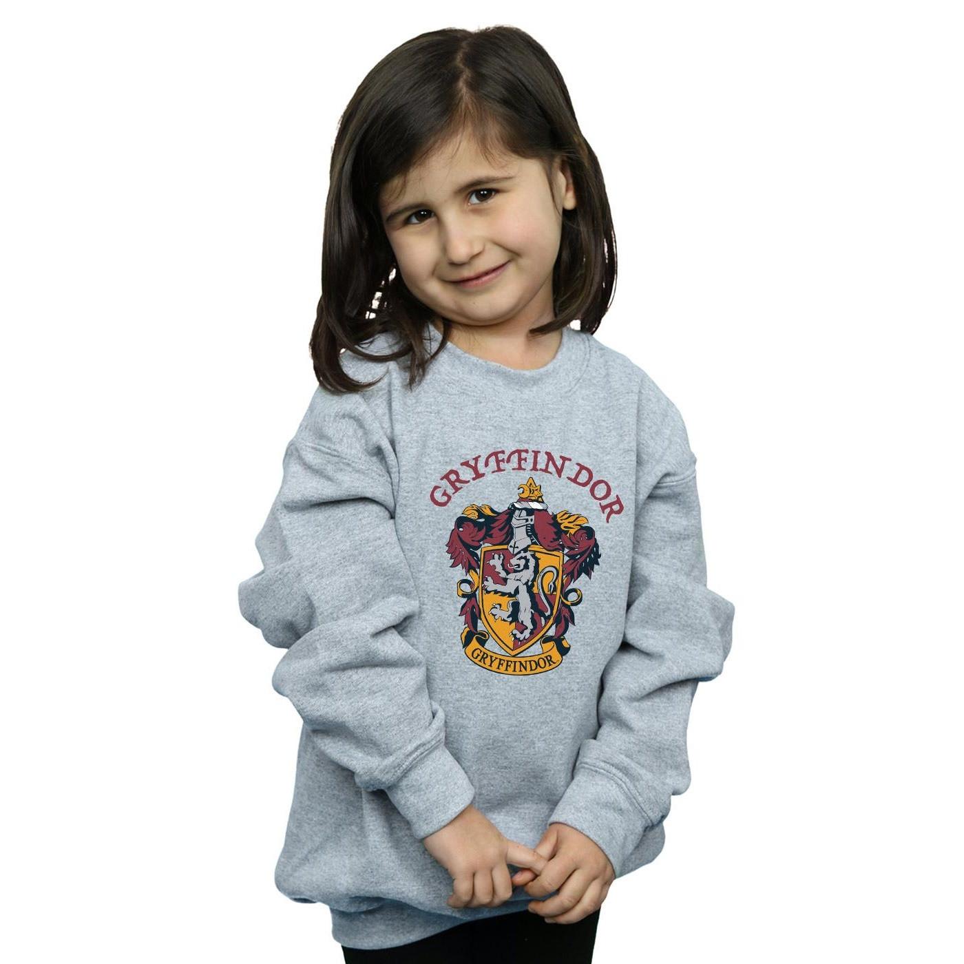 Harry Potter Sweatshirt