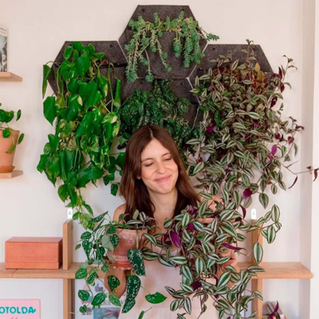 CitySens 3er-Pack Selbstbewässernder Wand-Pflanzengefäss mit Textilbezug