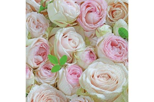 STEWO INTERNATIONAL STEWO Serviette 33x33cm 2572649626 Lova FSC rosa hell 20 Stück