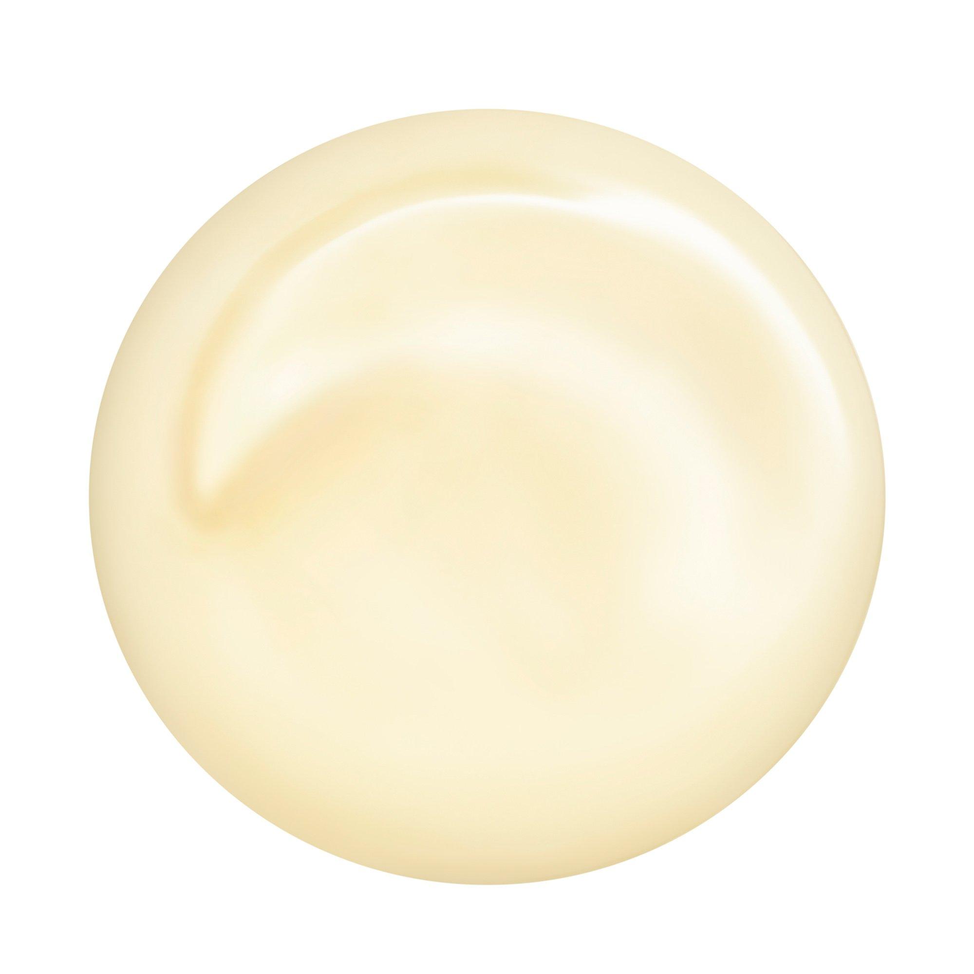 SHISEIDO Total Revitalizer Eye
