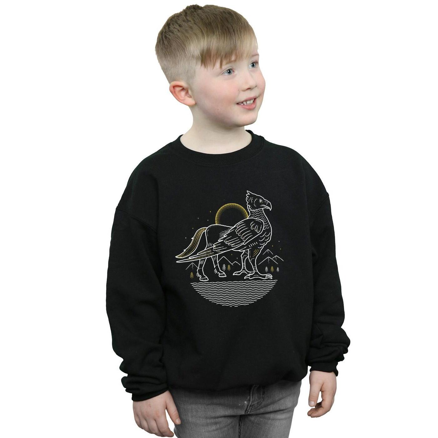 Harry Potter Sweatshirt