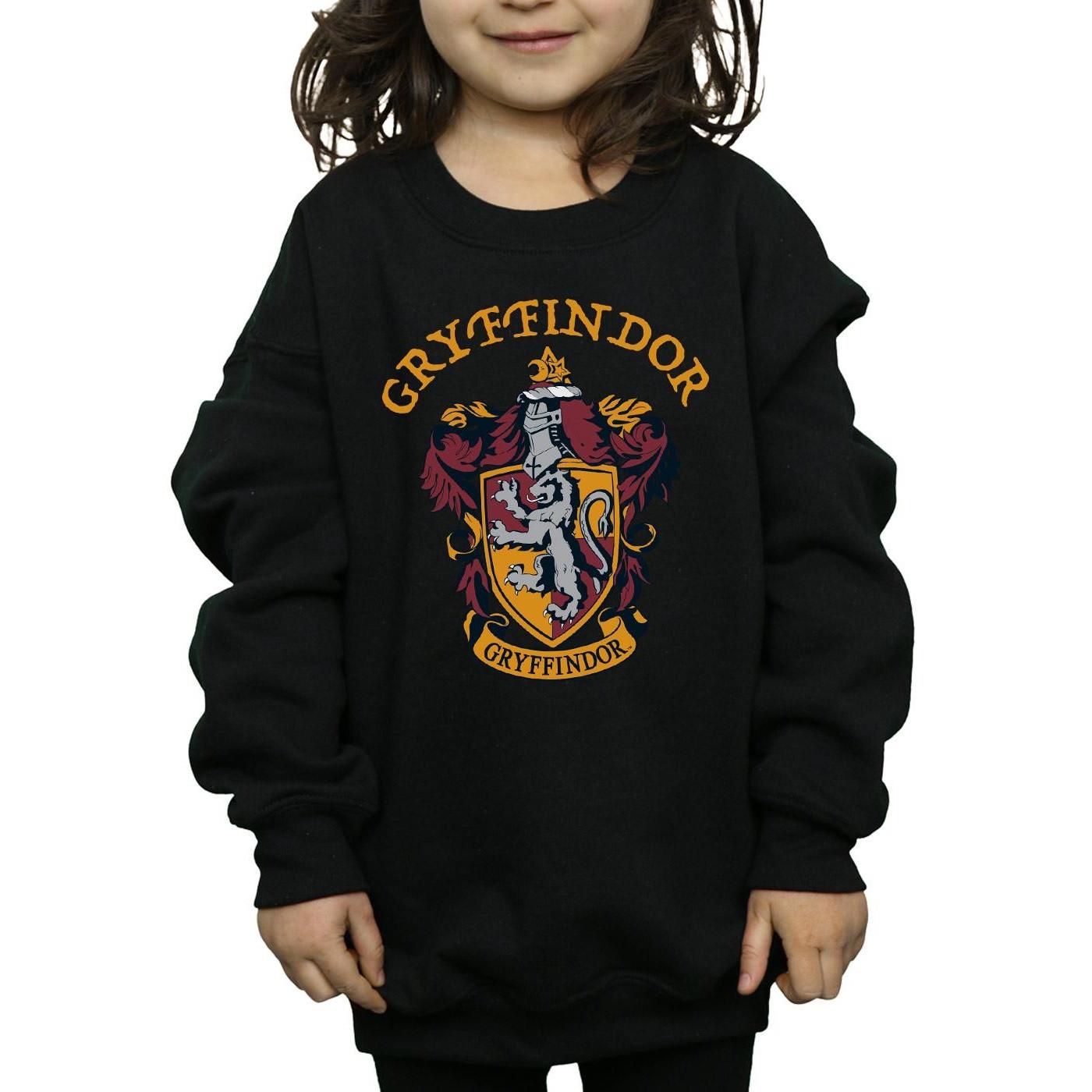 Harry Potter Sweatshirt