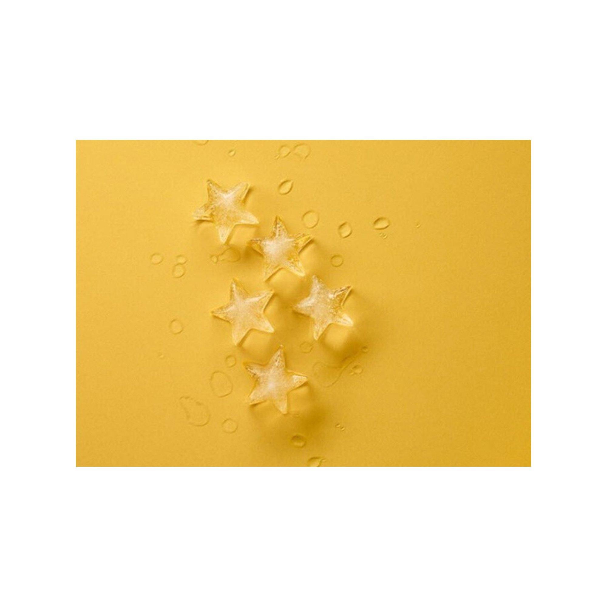 Lékué Eiswürfelbereiter Stern