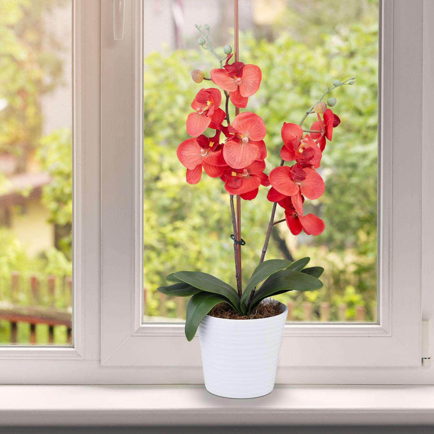 B2X Pflanzringe 300er Set