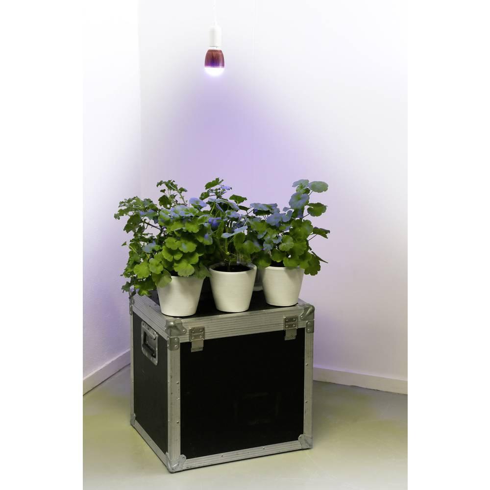 Venso E27-Pflanzenlampe Winter