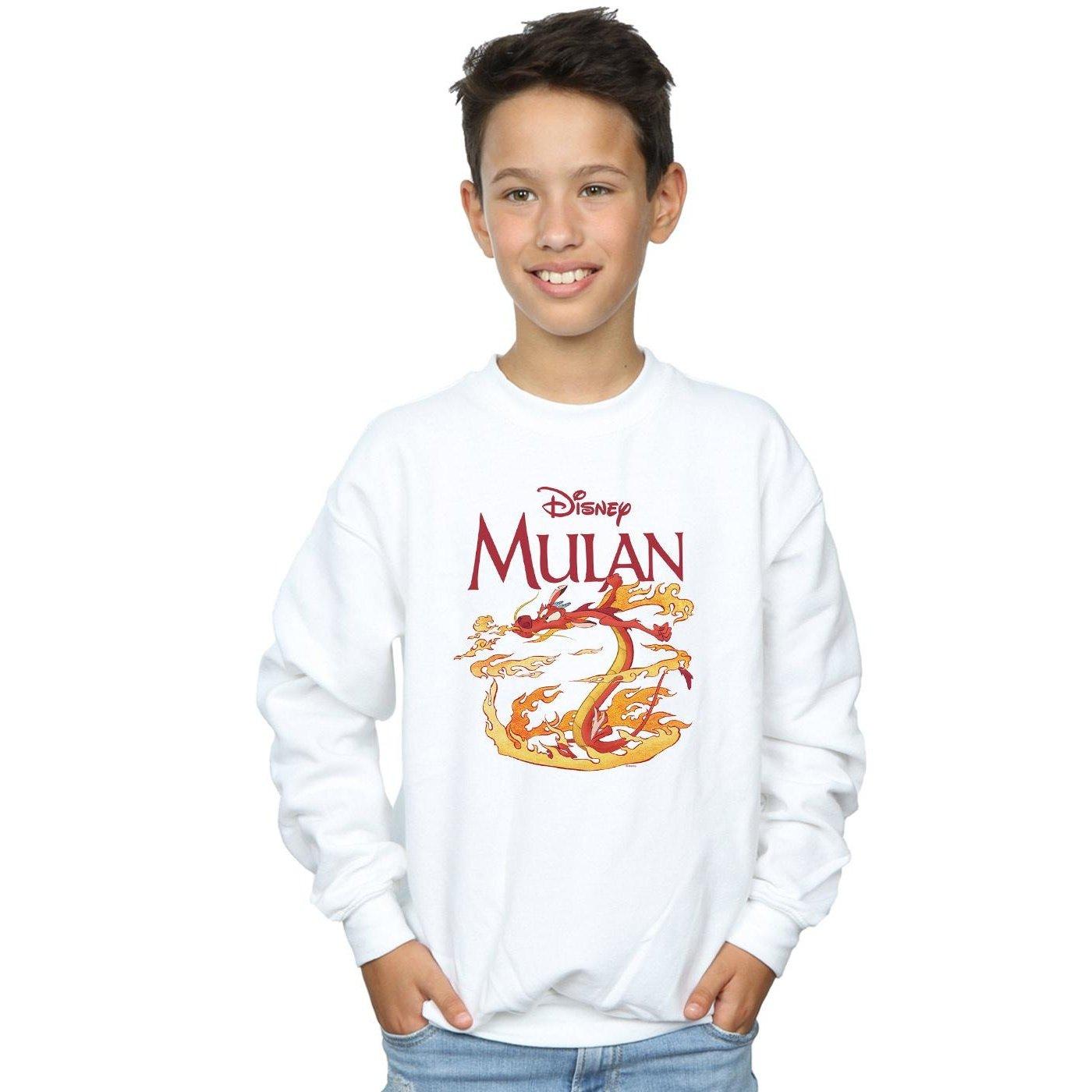 Disney Dragon Fire Sweatshirt