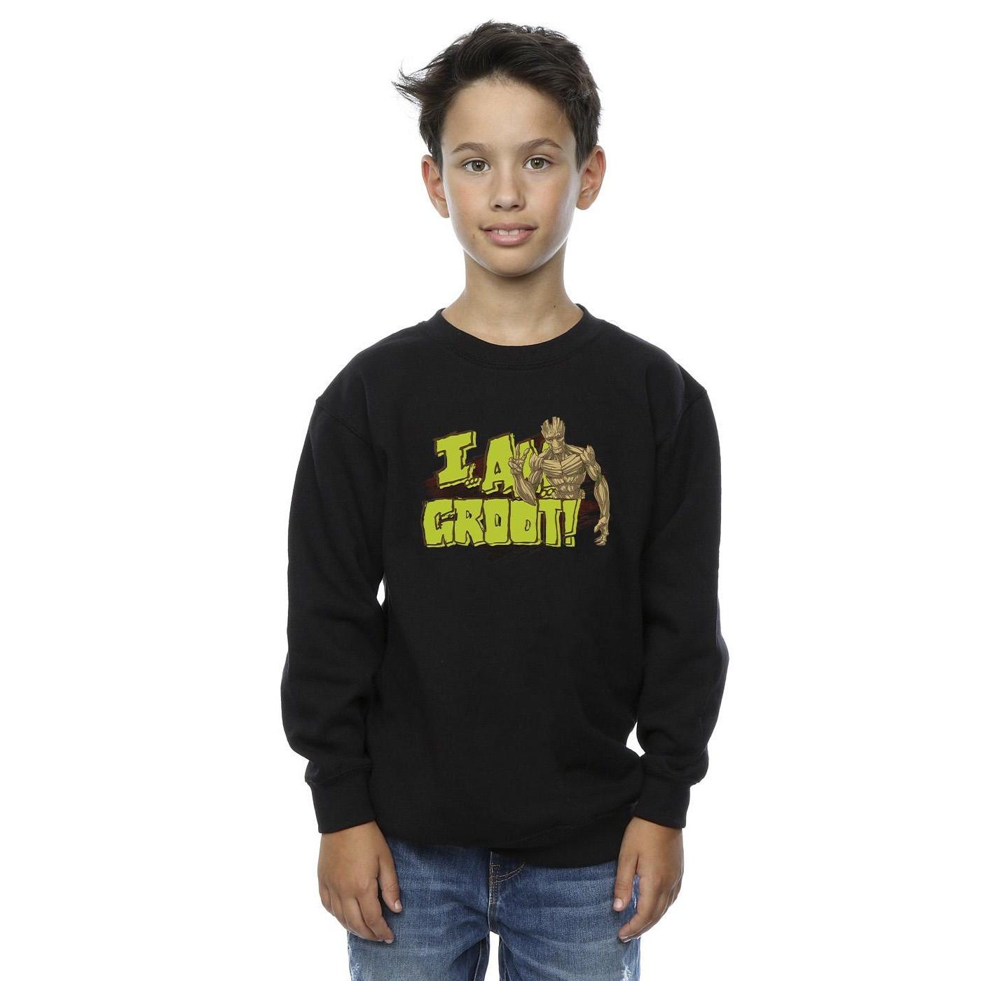 Guardians Of The Galaxy I Am Groot Sweatshirt