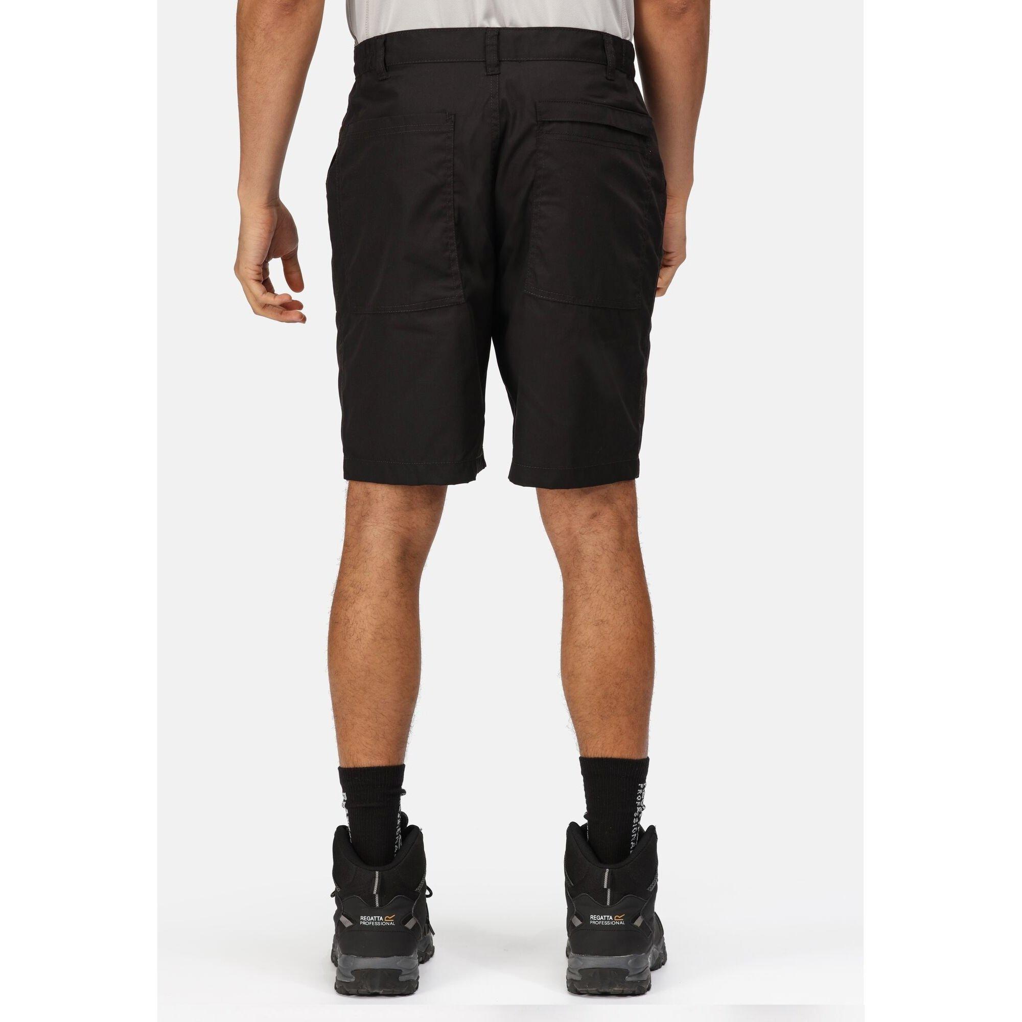 Regatta New Action Shorts