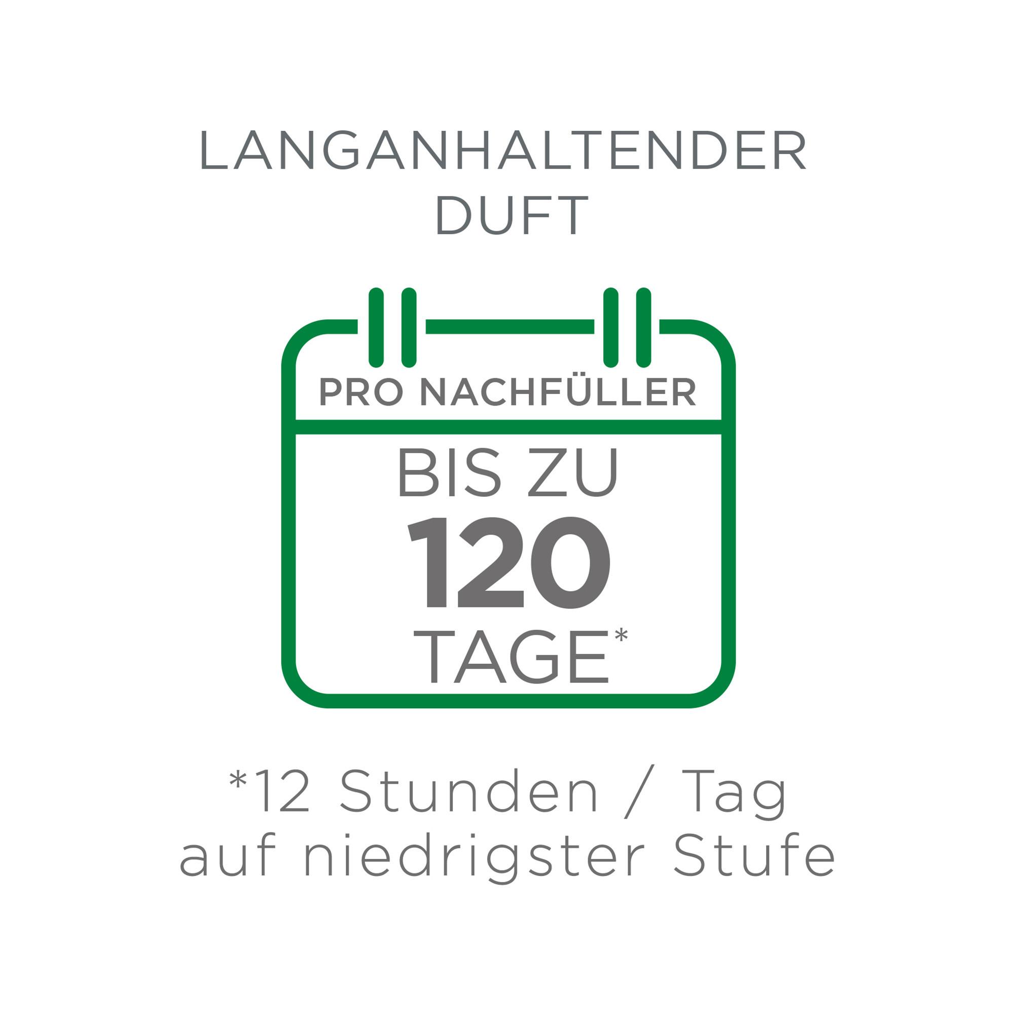 AIR WICK Duftölflakon Diffusor Cherry blossom & raspberry