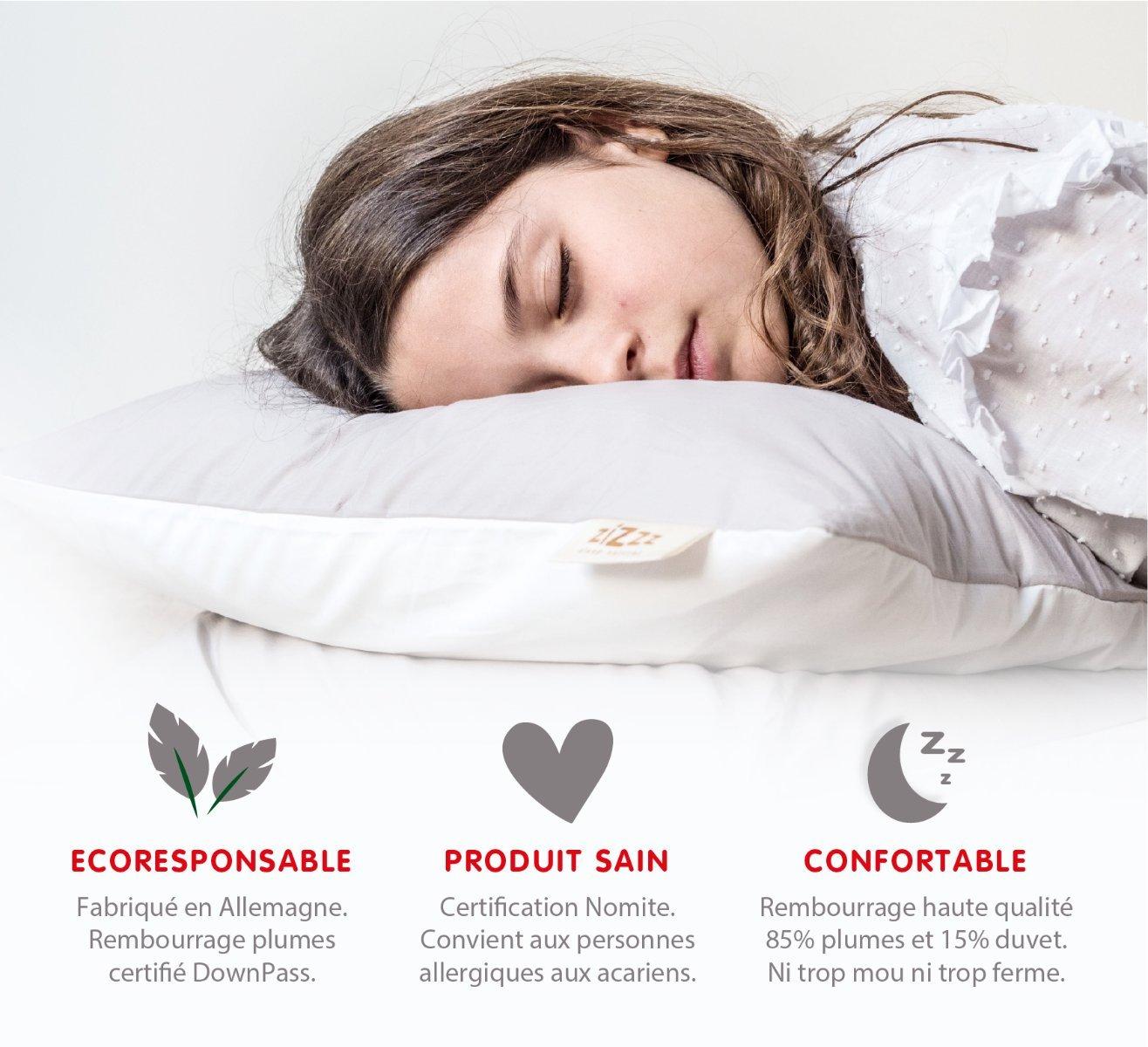 Zizzz Bio Entendaunenkissen, Nomite & Downpass