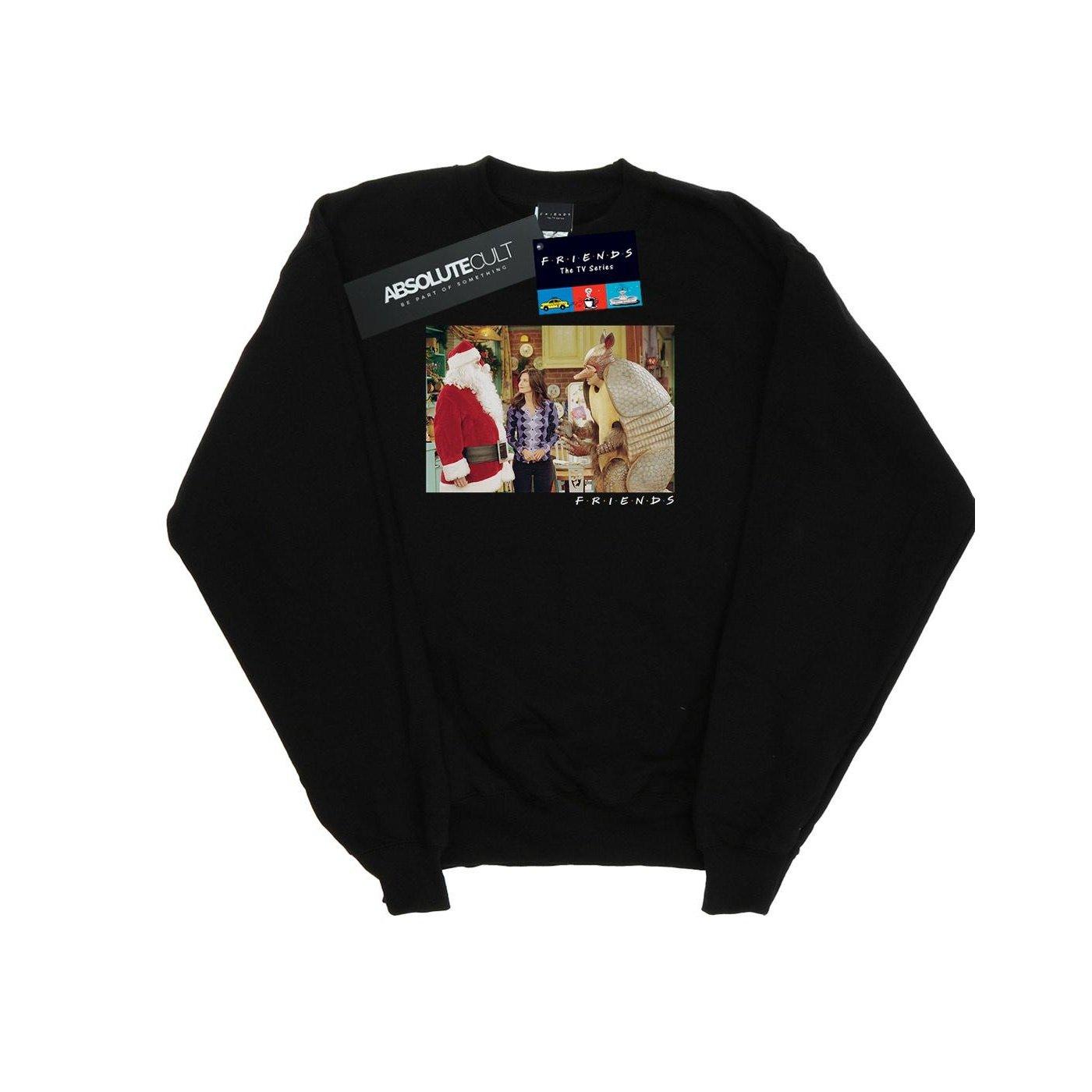 Friends The Holiday Armadillo Sweatshirt