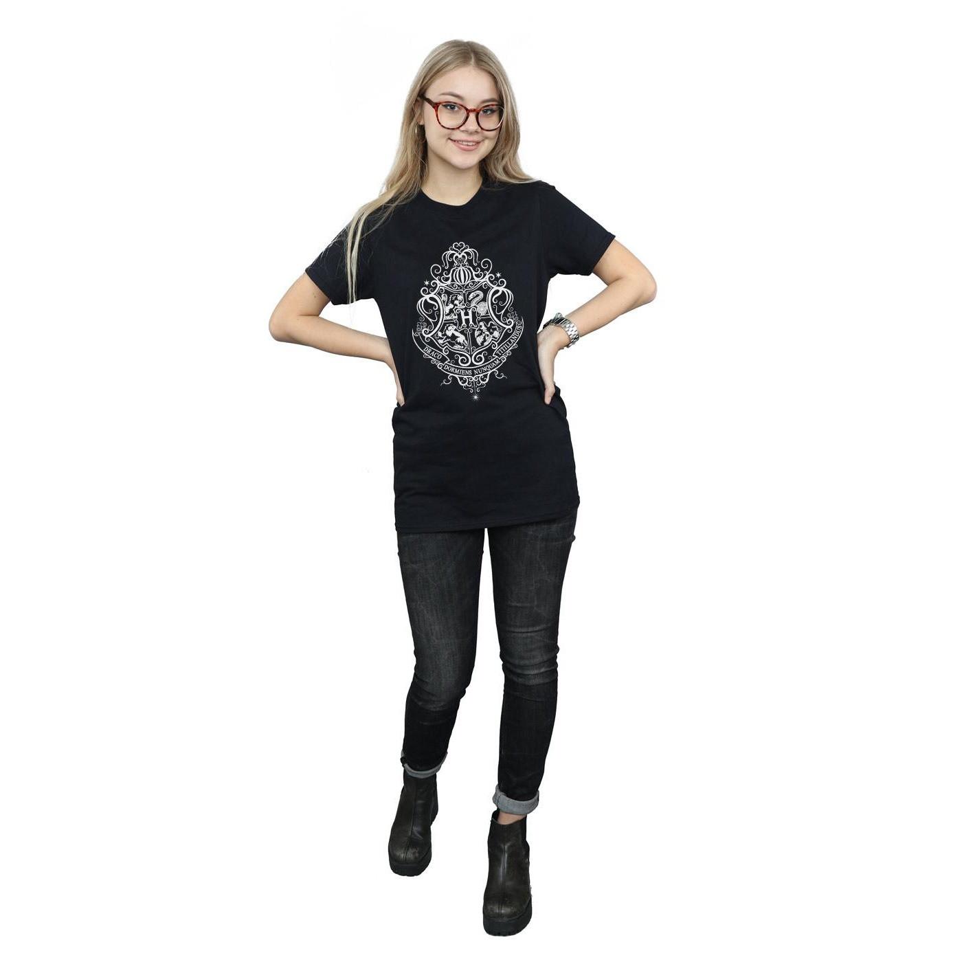 Harry Potter Hogwarts Draco Dormiens T-Shirt