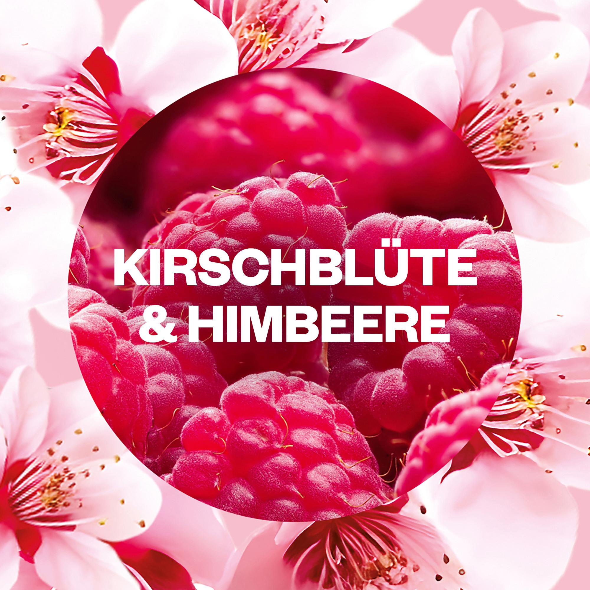 AIR WICK Nachfüllung Duftölflakon Cherry blossom & raspberry