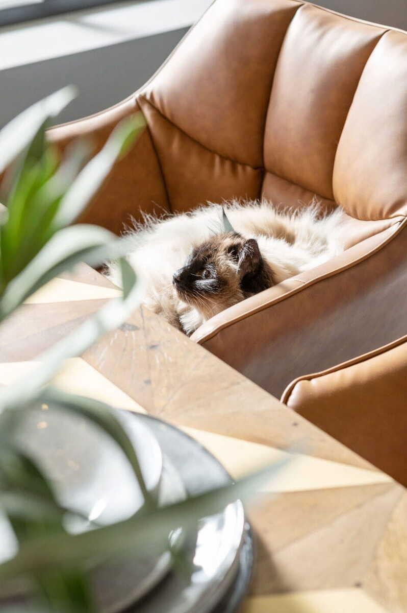 mutoni Armlehnstuhl Thinktank Braun