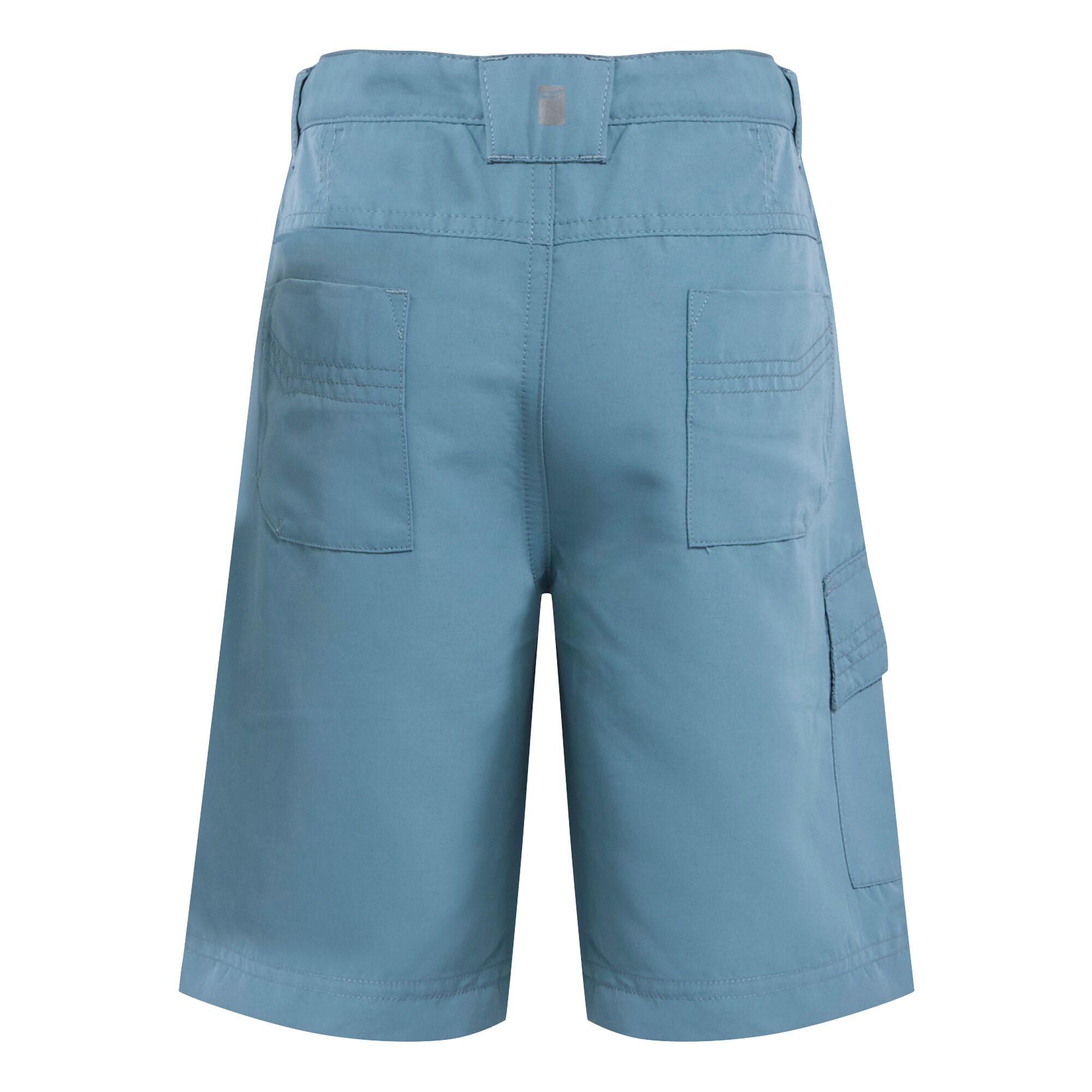 Regatta Sorcer II Shorts