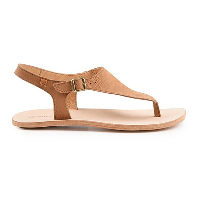 El Naturalista Coratina N5710-36