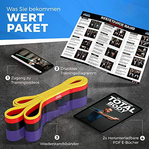 Alopini Premium Qualität Klimmzug-Hilfsband-Set für Klimmzüge Training, Kraft, Mobilität, Dehnung im