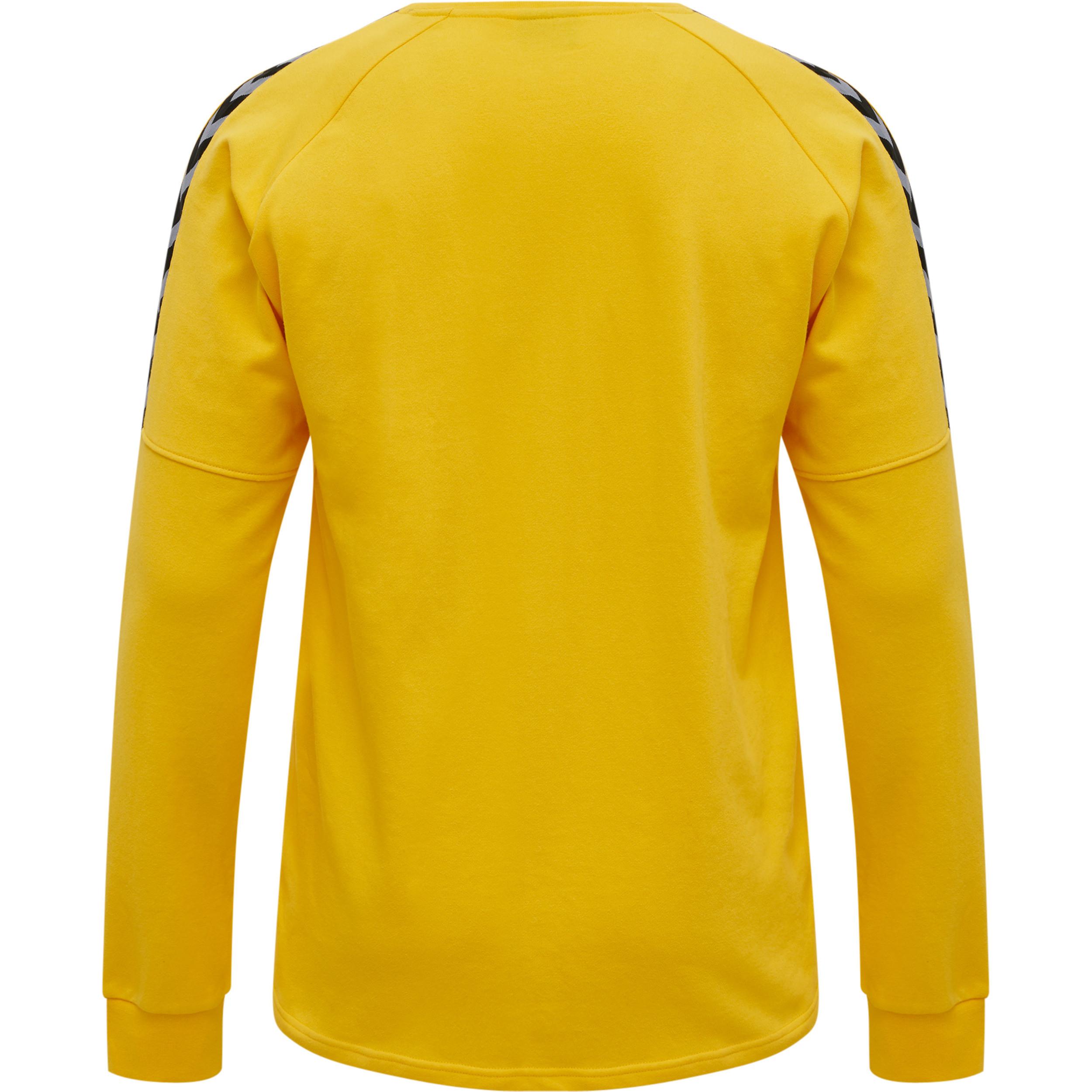 Hummel pullover huel hlauthentic training