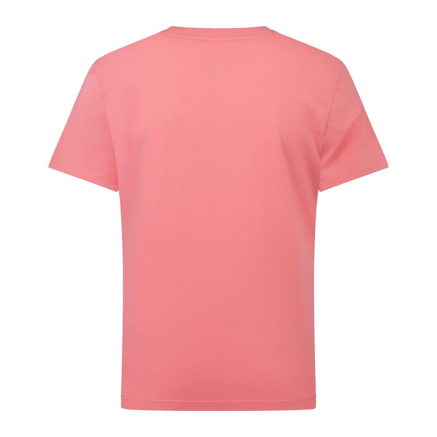 Canterbury t-shirt uglies