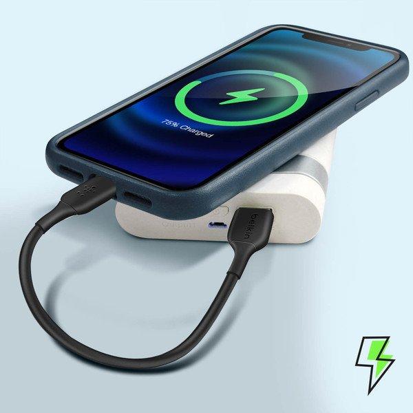 belkin Belkin USB /Lightning Kabel 15cm Schwarz