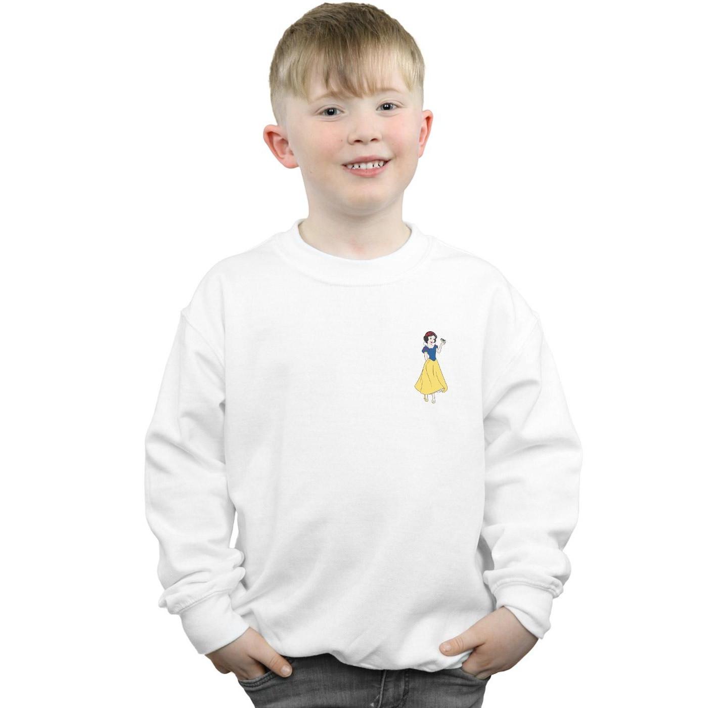 Disney PRINCESS Sweatshirt