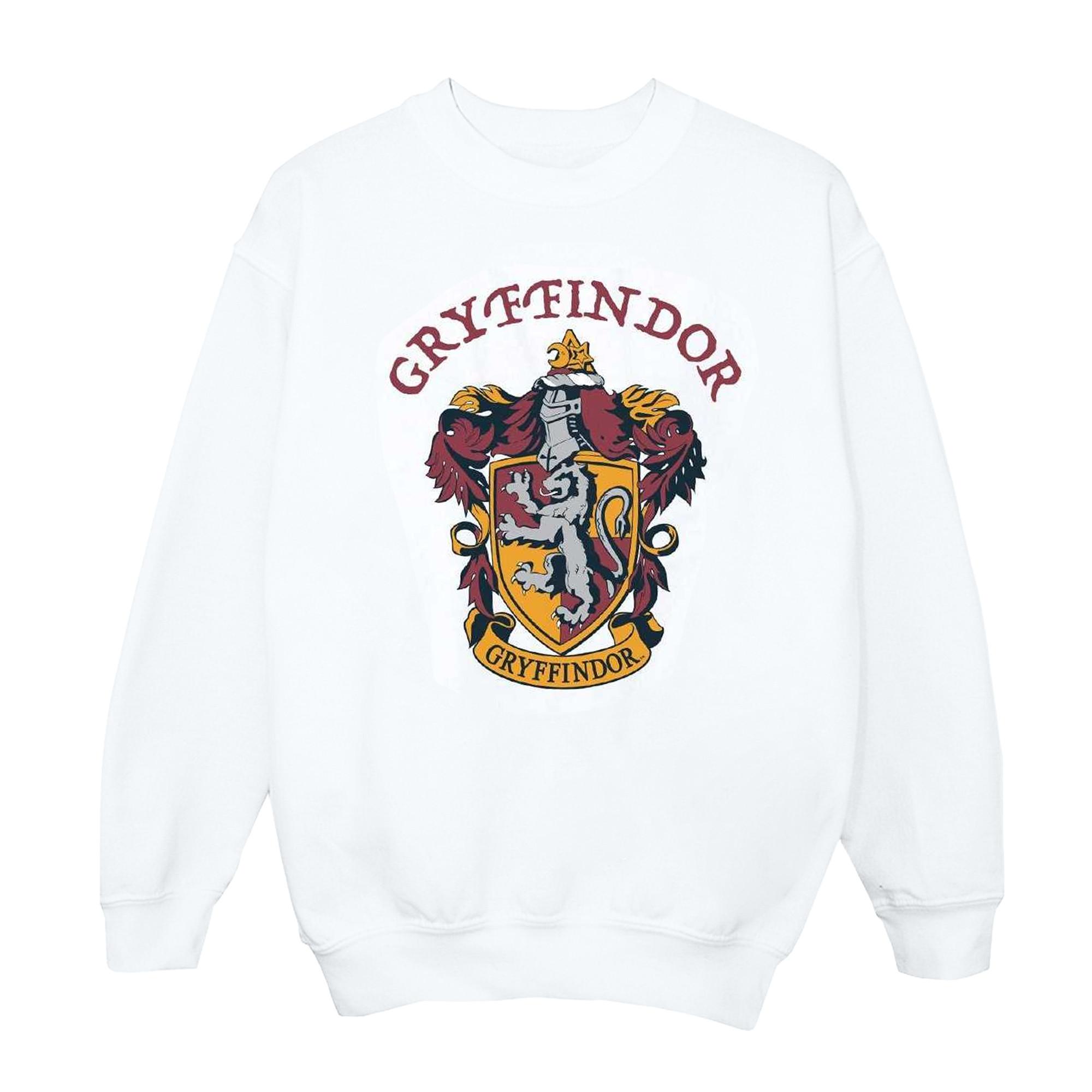 Harry Potter Sweatshirt