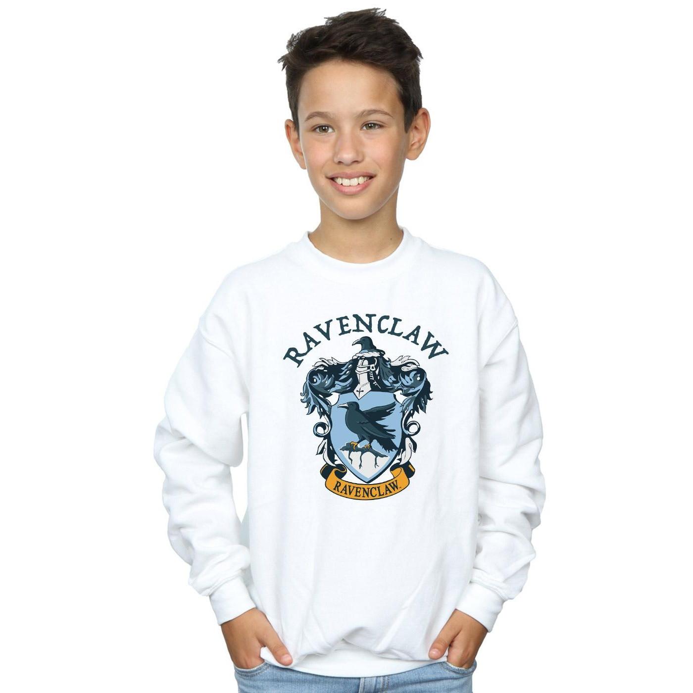 Harry Potter Sweatshirt