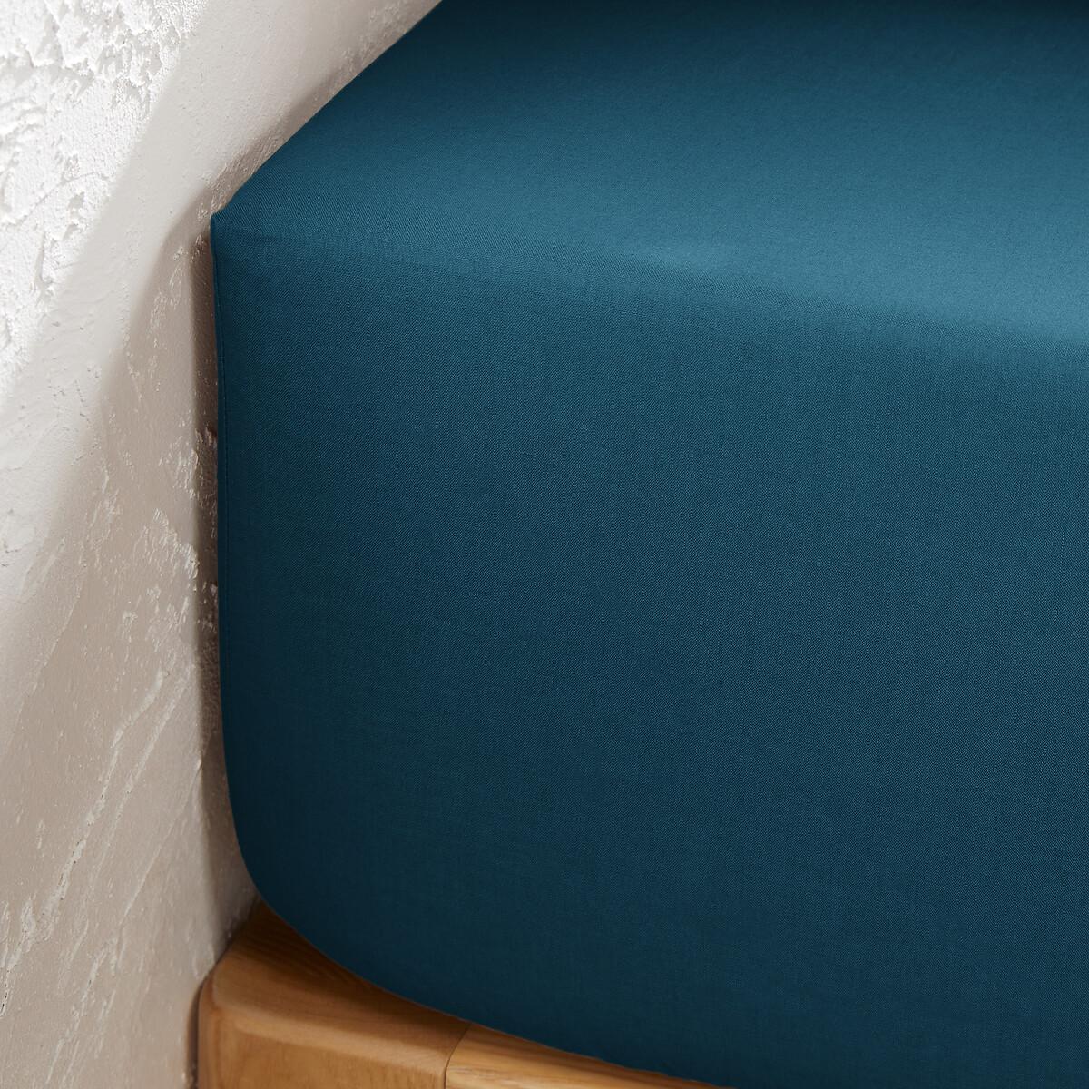 La Redoute Intérieurs Fixleintuch Scenario aus Baumwolle