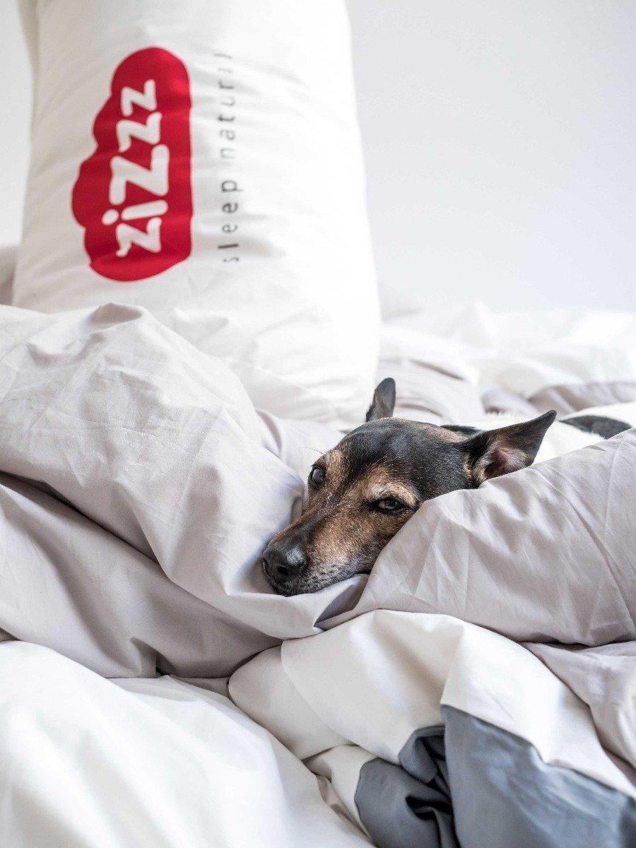 Zizzz Premium Gänsedaunen bio-Duvet 200x210 Nomite & Downpass