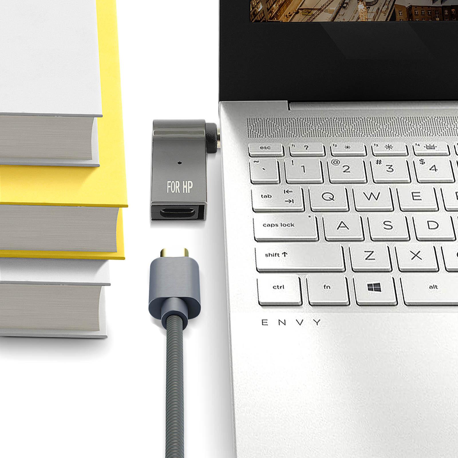 Avizar USB-C / 4.5 x 3.0mm 100W Adapter