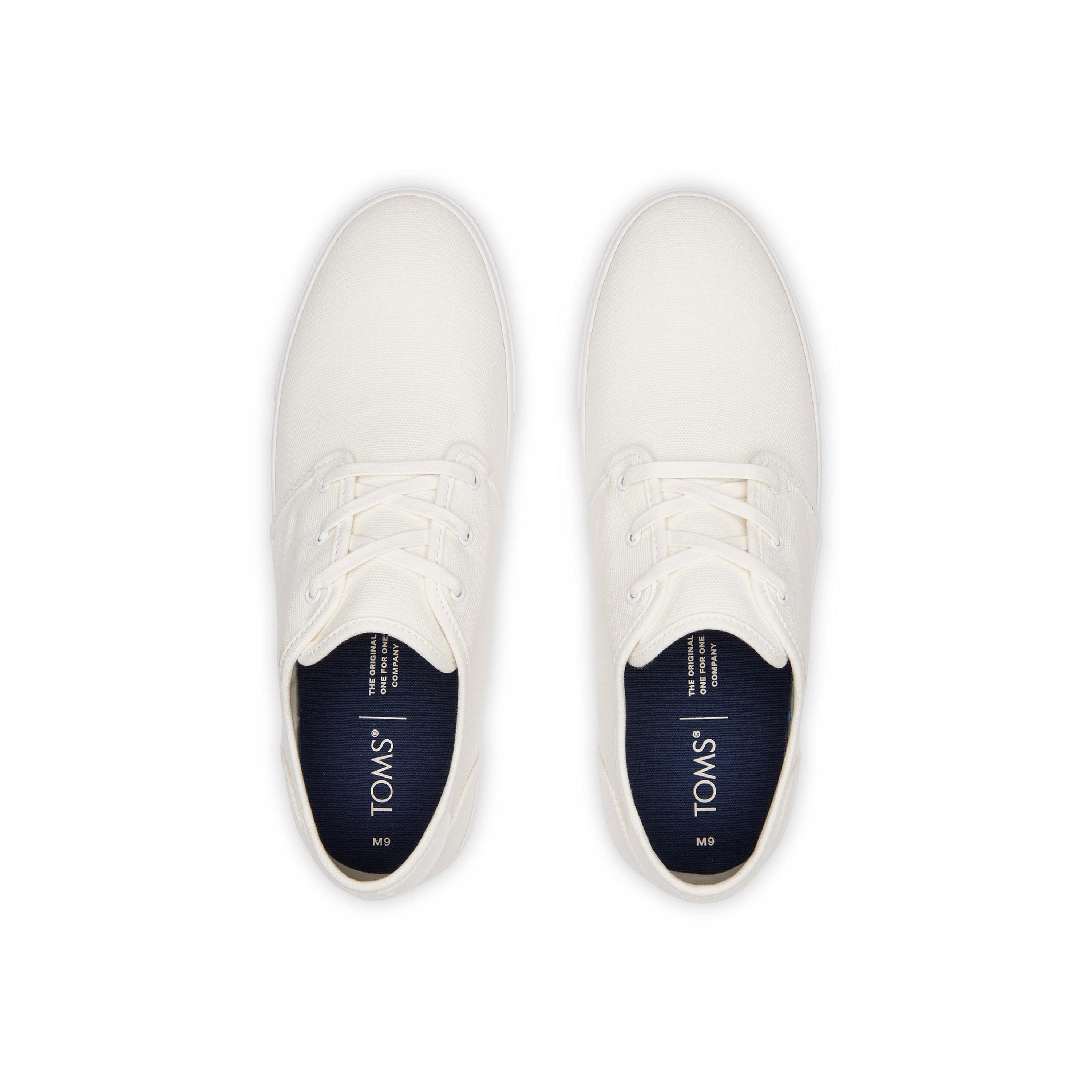 TOMS sneakers carlo