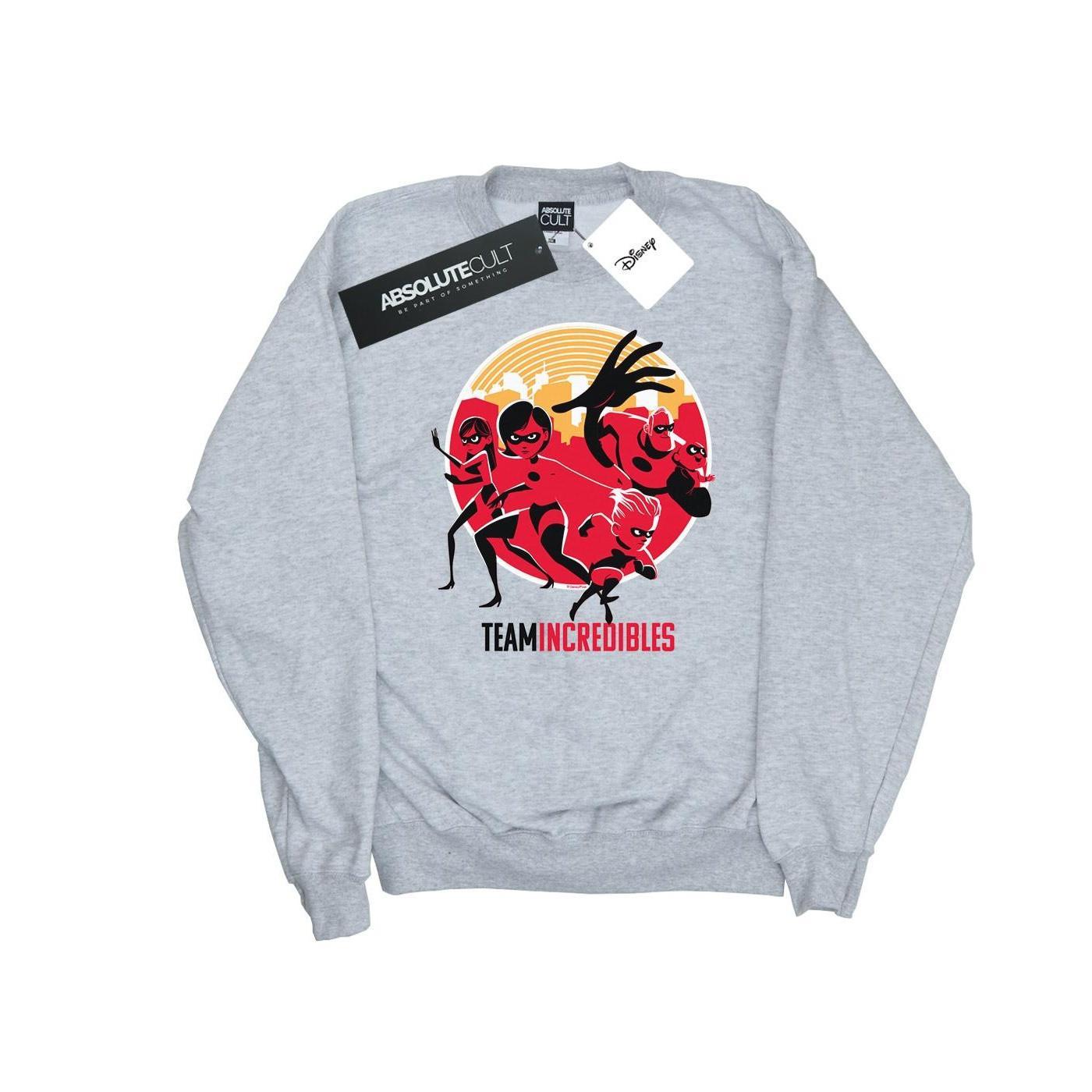 Disney Incredibles 2 Team Incredibles Sweatshirt