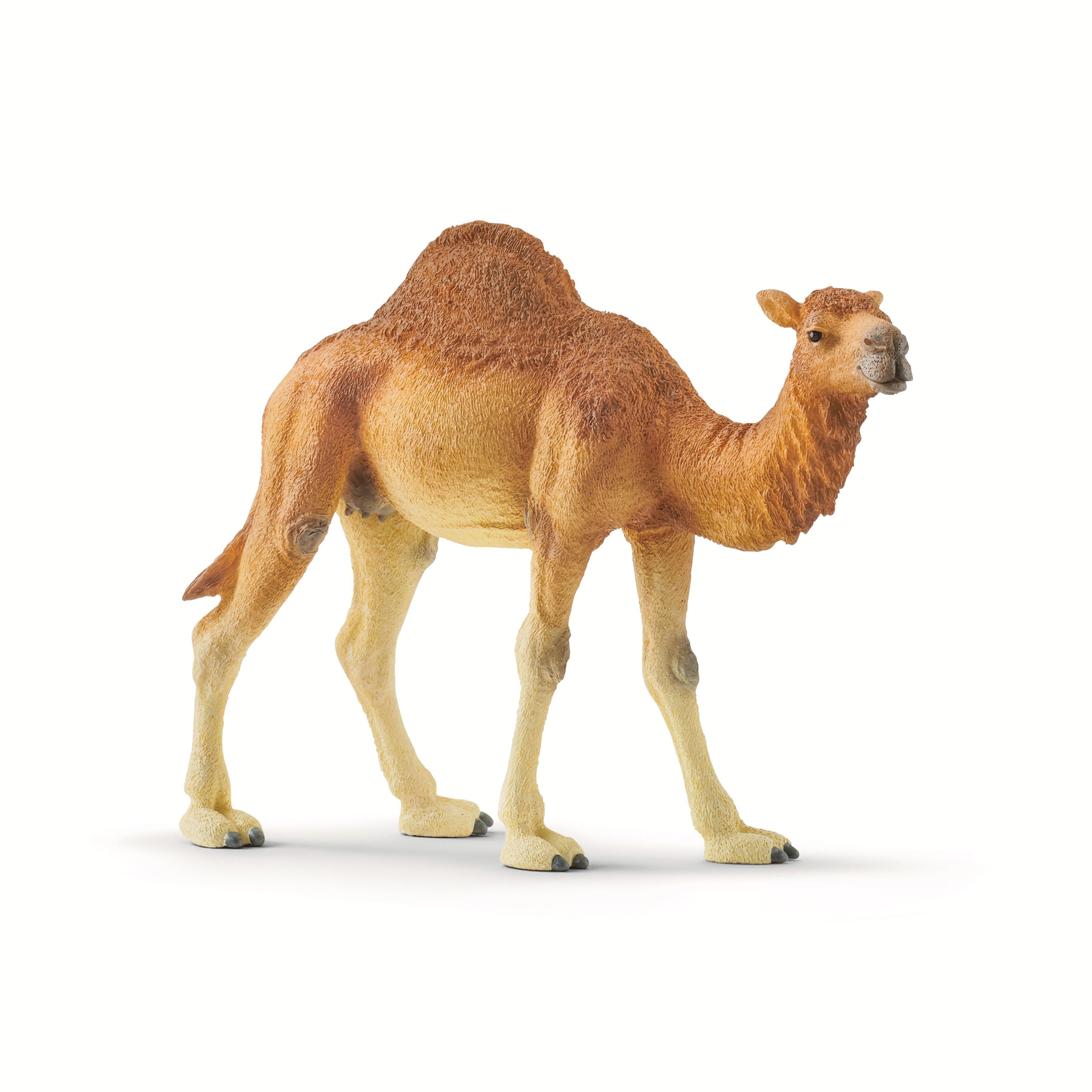 Schleich 14832 Dromedar