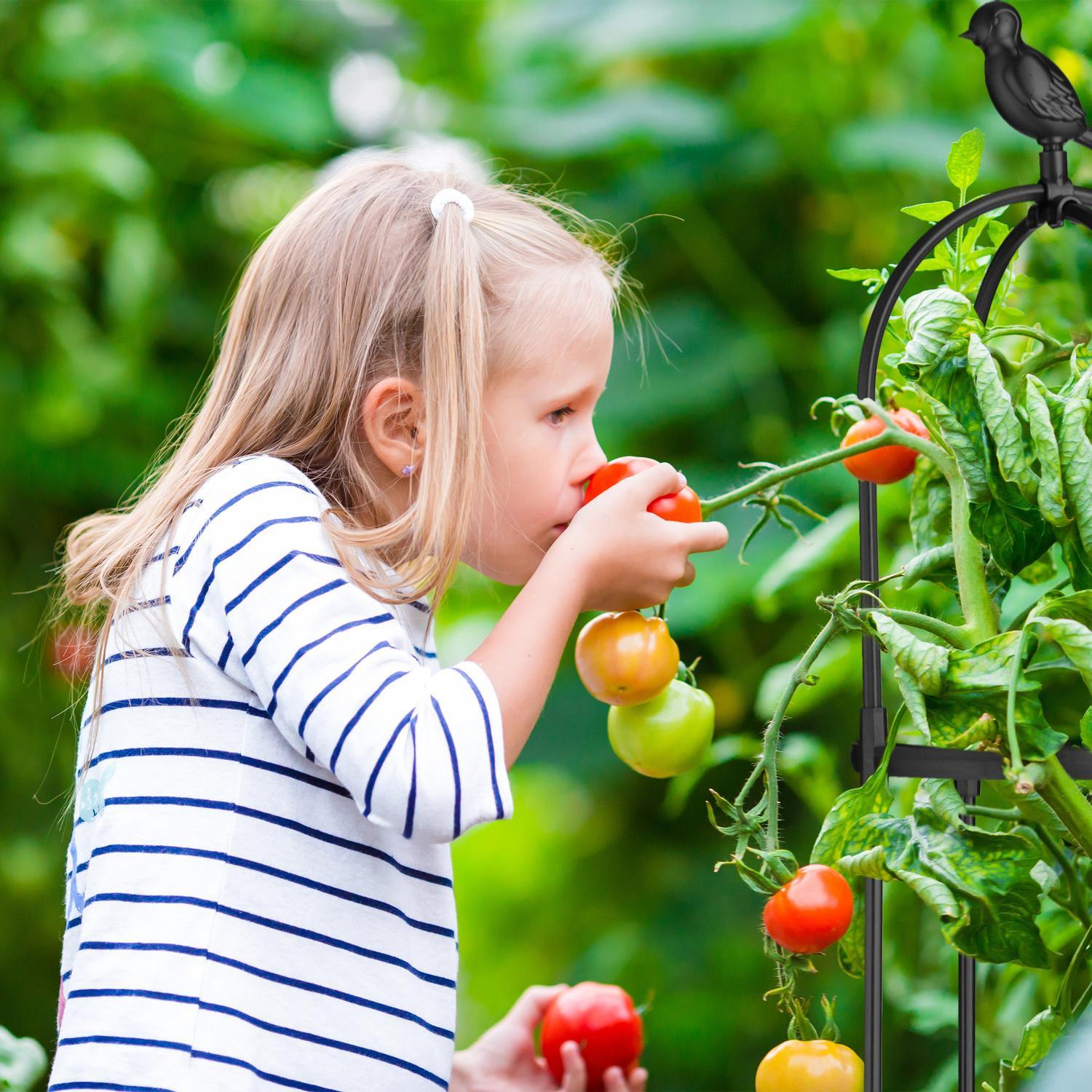 B2X Rankgitter 126 cm 2er-Set