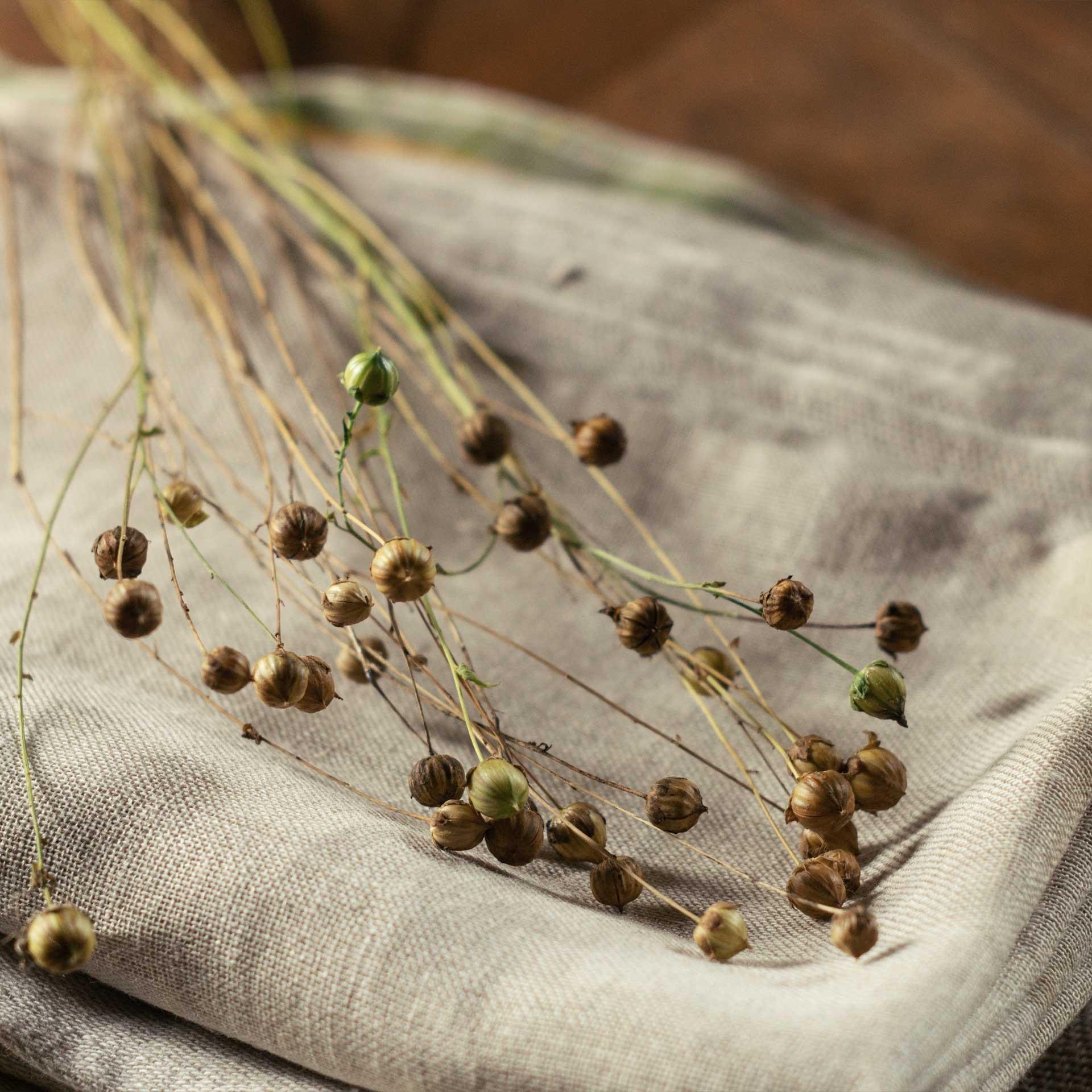 Lotus Bettwaren Lotus Bettwäsche Leinen uni