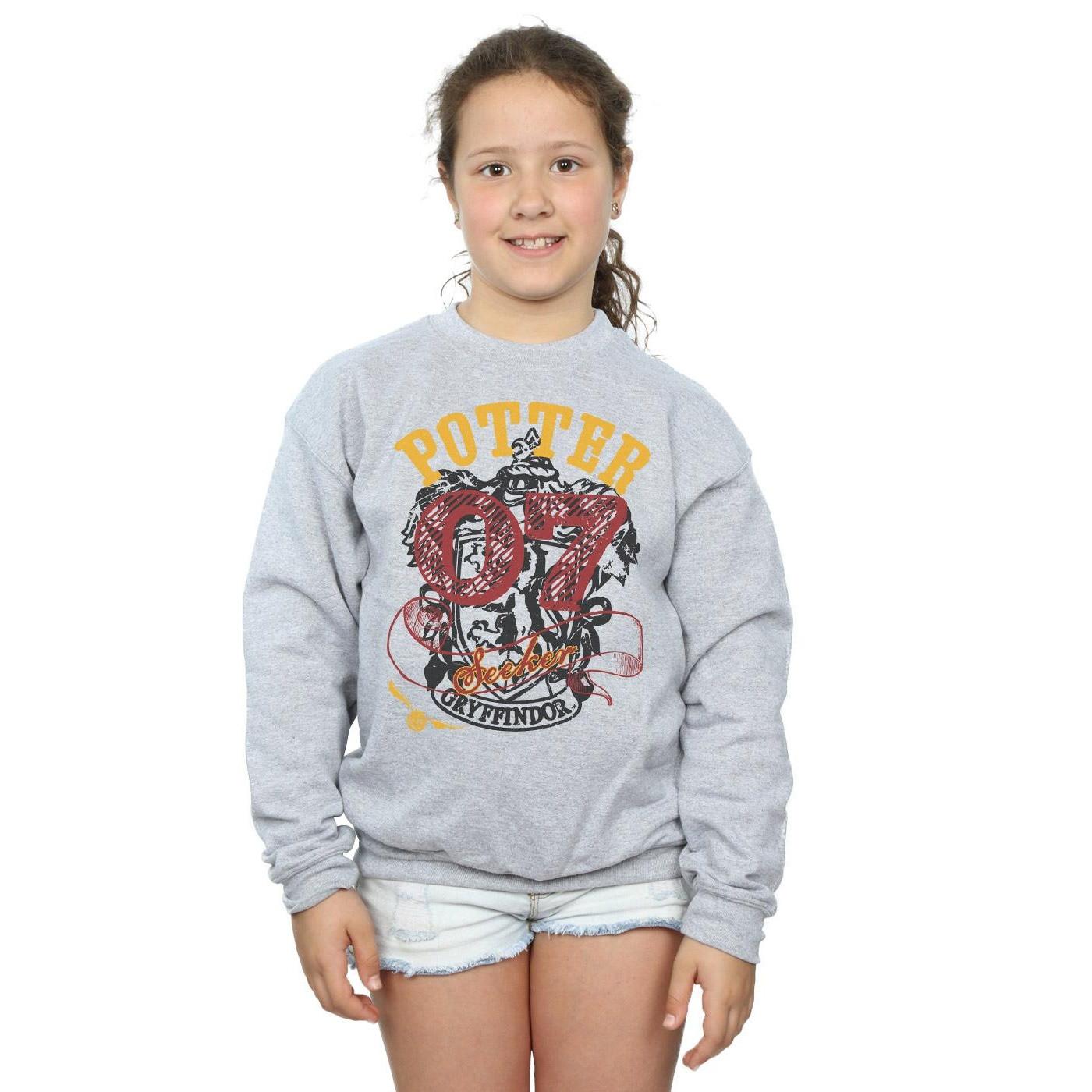 Harry Potter Gryffindor Seeker Sweatshirt