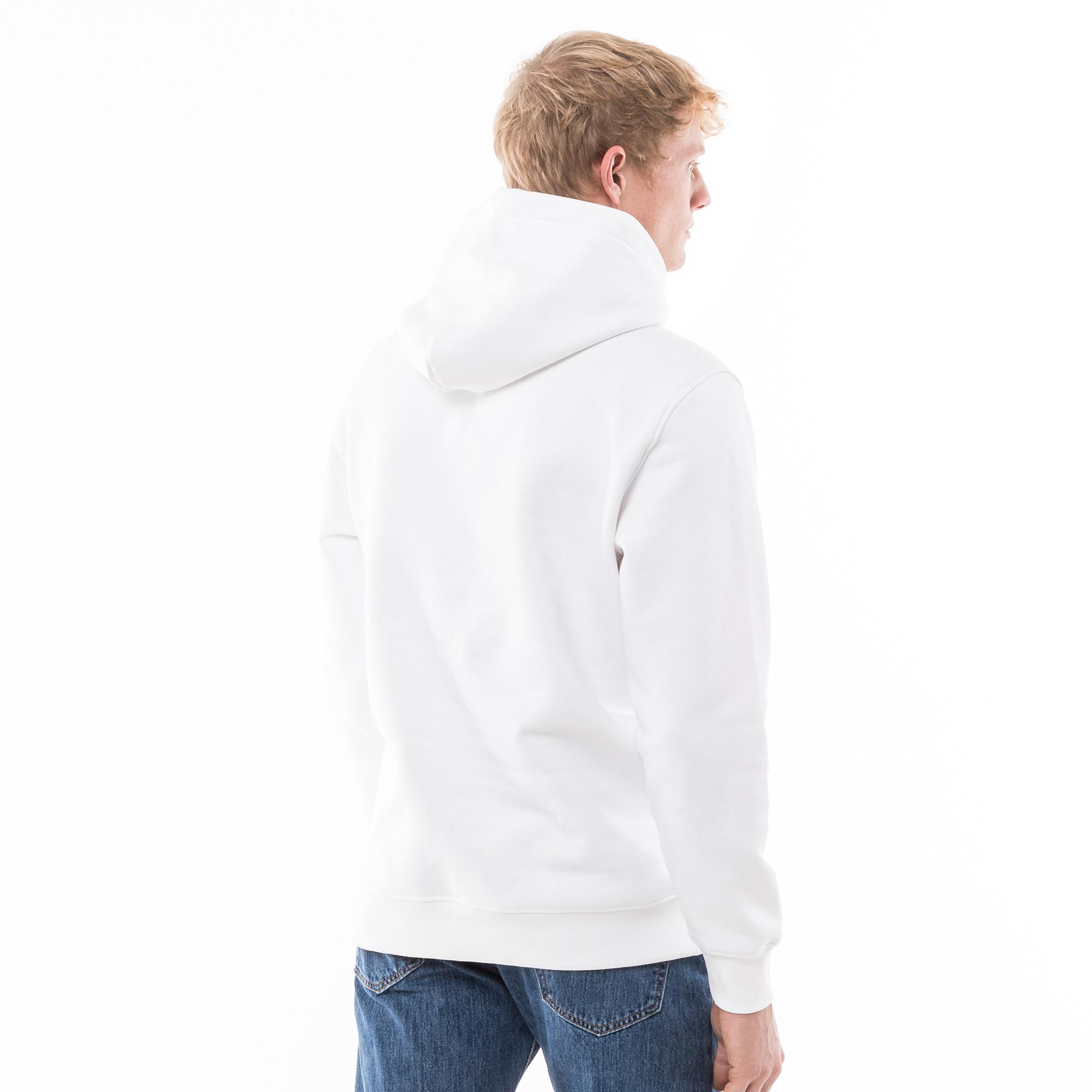 TOMMY JEANS TJM REG ESSENTIAL FLAG HOOD EXT Hoodie