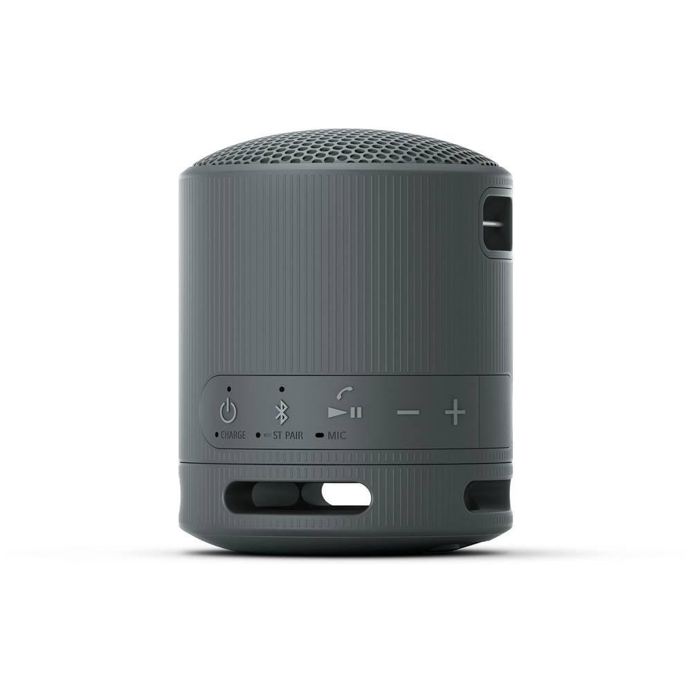 SONY XB100 Tragbarer kabelloser Lautsprecher